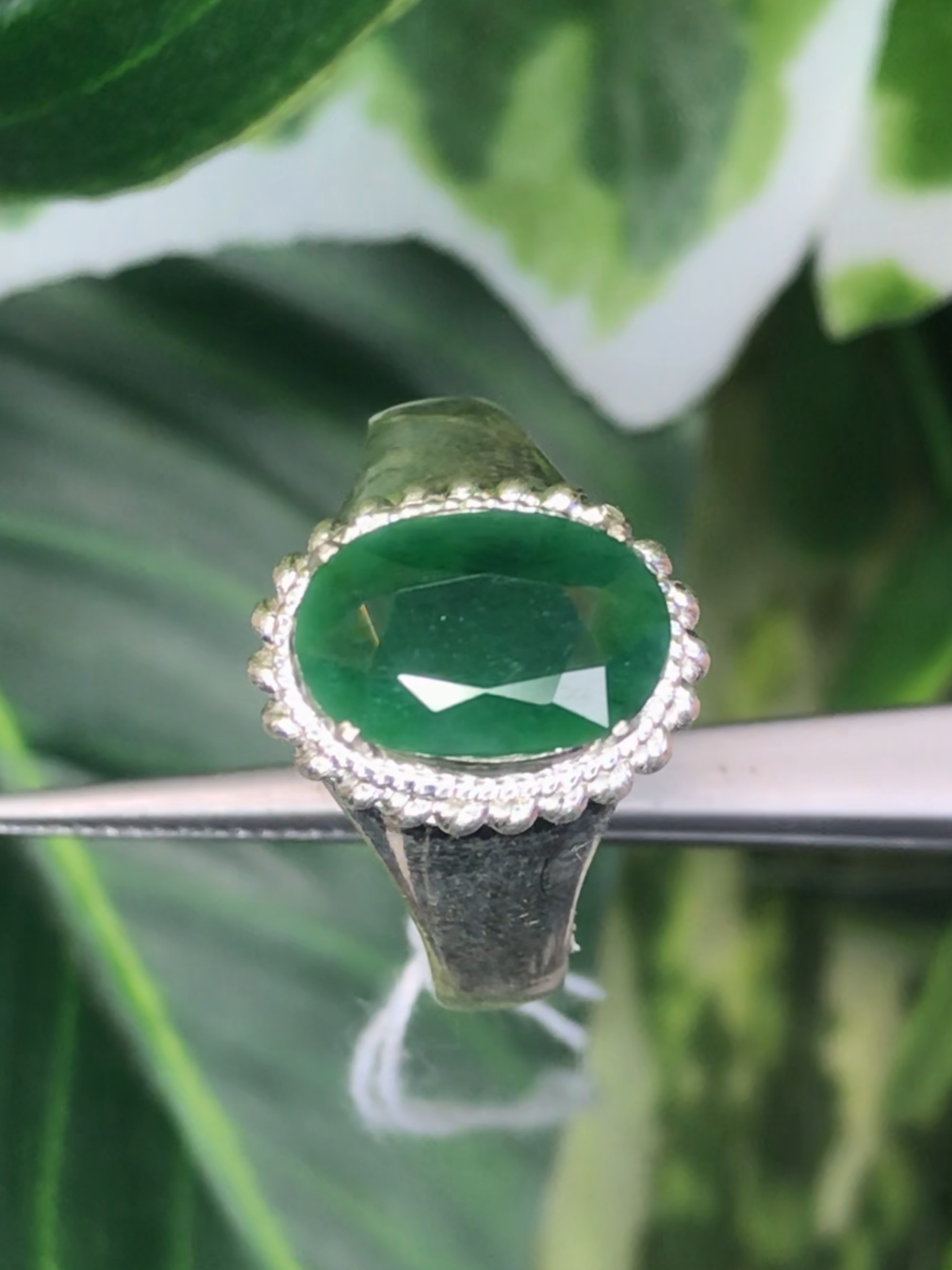 หยก พม่า แท้ Jade แหวนหยก 翡翠戒指 (Jadeite ring) ดิบ (Size) 55 ไม่ผ่านการปรับปรุง (Type A) พม่า (Myanmar)
