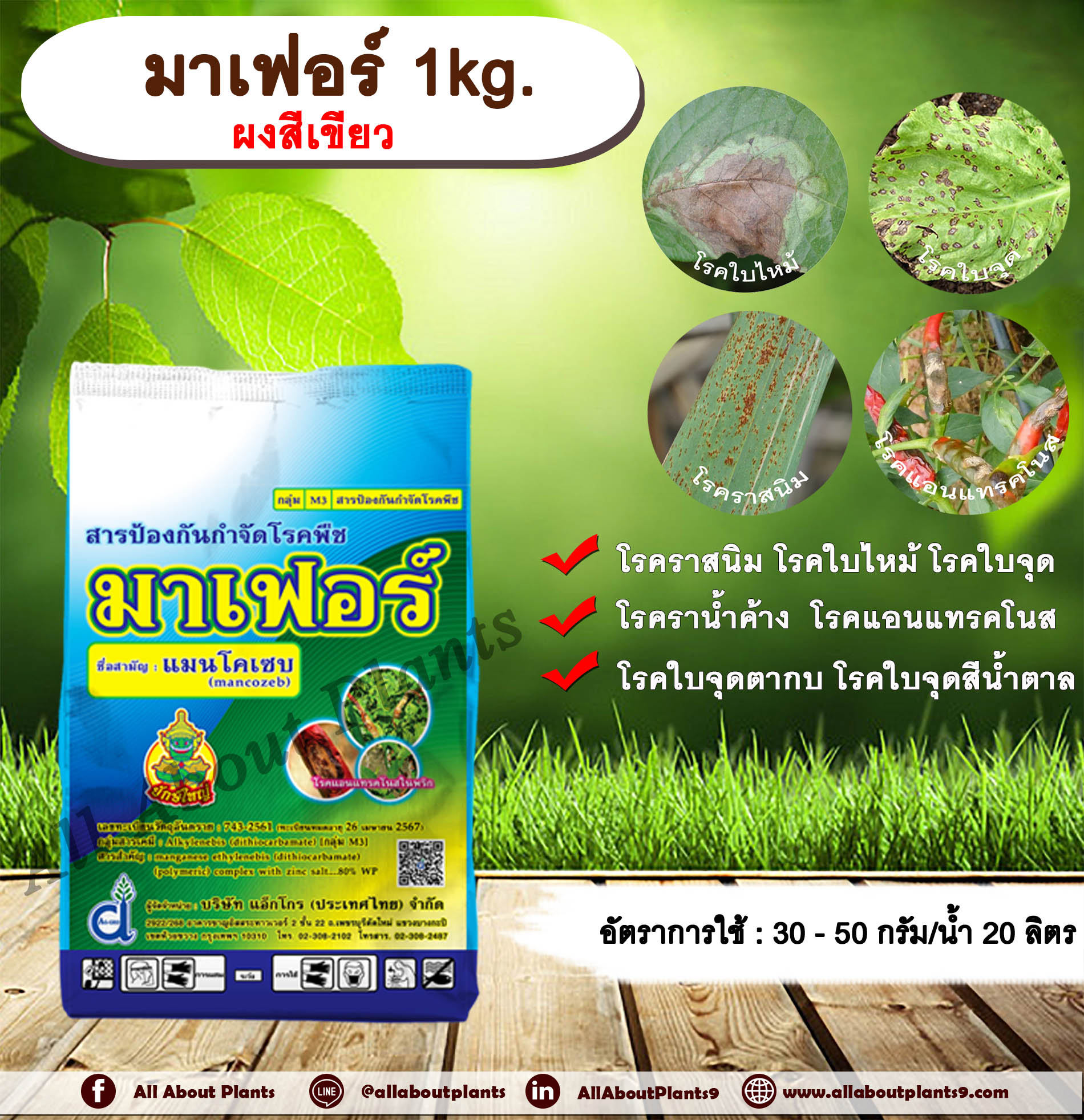มาเฟอร์ 1kg. ผงสีเขียว แมนโคเซบ สารป้องกันกำจัดโรคพืช สารป้องกันเชื้อรา สารกำจัดโรคพืช โรคราสนิม โรคใบจุด โรคใบไหม้ โรคราน้ำค้าง โรคแอนแทรคโนสallaboutplants ชิ้น