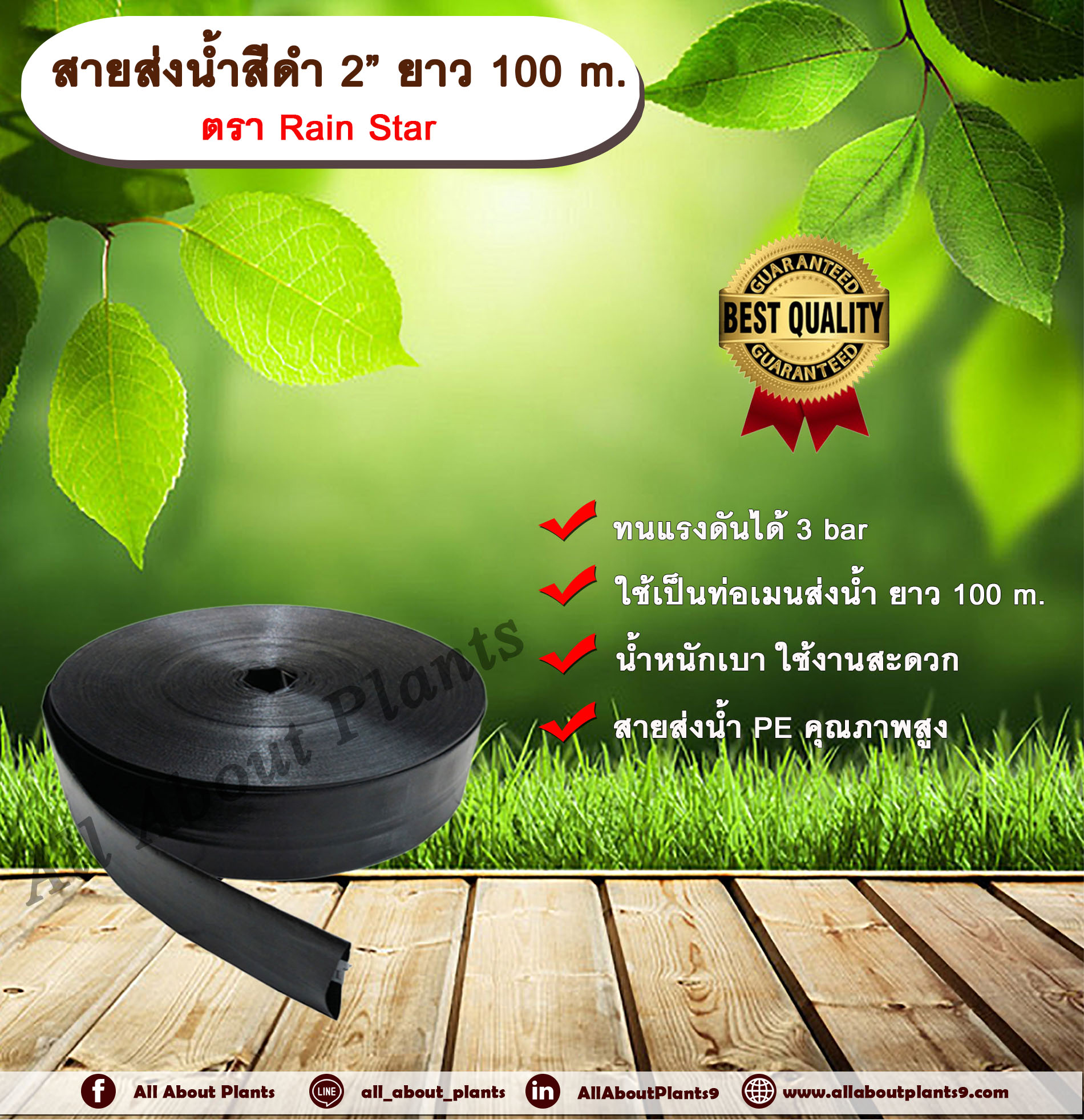 สายส่งน้ำ 2” ยาว 100 m. ตรา Rain Star สายส่งน้ำ สายส่งน้ำ PE คุณภาพสูง สายส่งน้ำสีดำ 2นิ้ว ยาว 100เมตร สายสำหรับส่งน้ำ ส่งน้ำสำหรับทำเกษตร ม้วน
