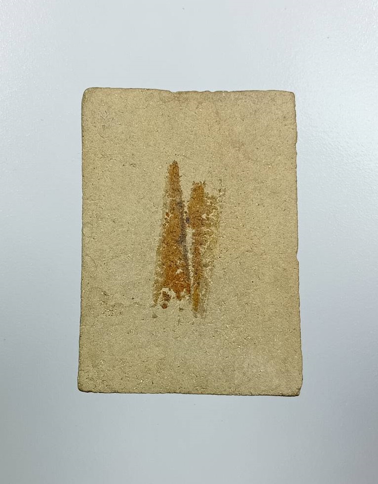 ผ3376 พระสมเด็จ เนื้อผสมแร่เหล็กไหล หลวงพ่อก๋วน วัดตะเคียนทอง จ.ระยอง