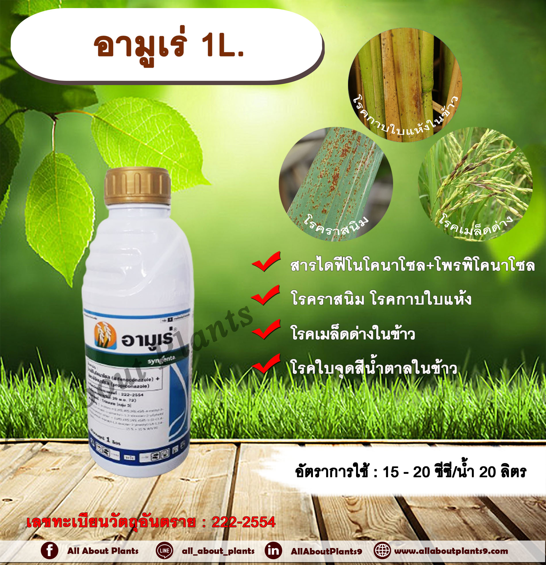 อามูเร่ 1L. ไดฟีโนโคนาโซล+โพรพิโคนาโซล สารกำจัดเชื้อรา ป้องกันเชื้อรา โรคเมล็ดด่าง โรคราสนิม โรคใบจุดสีน้ำตาล โรคกาบใบแห้ง เมล็ดด่างข้าว ขวด