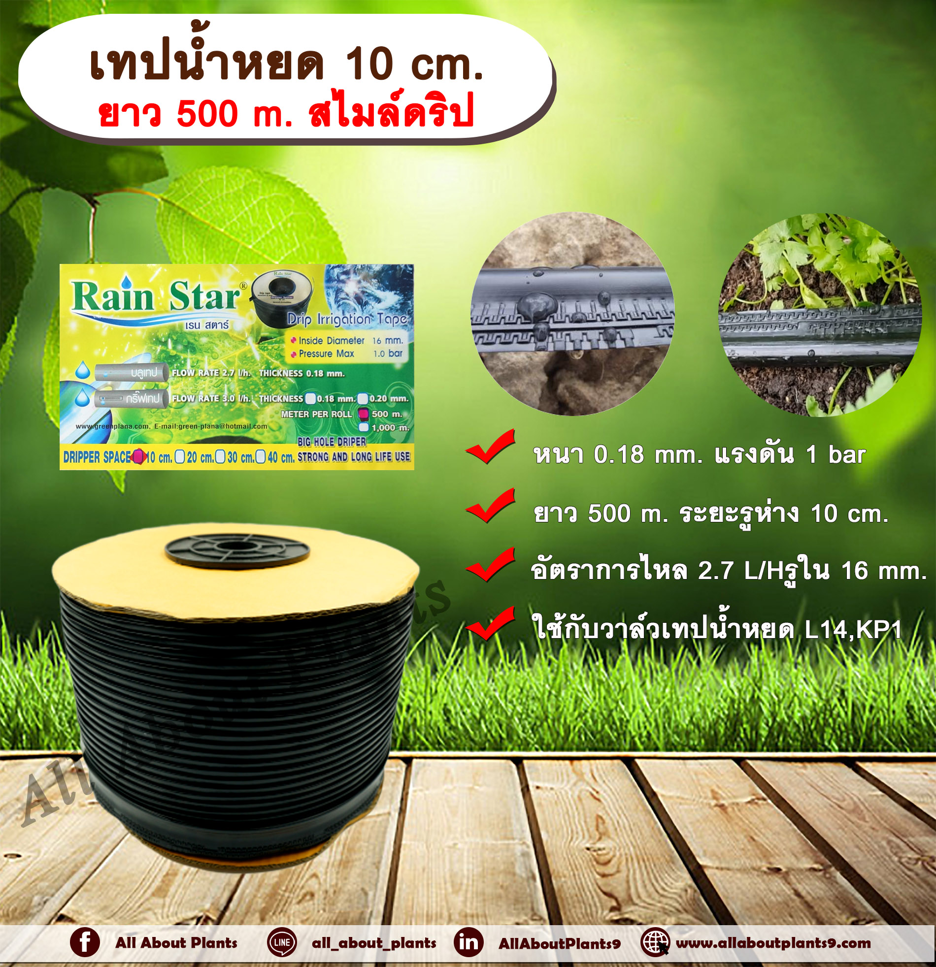 เทปน้ำหยด 10 cm. ยาว 500 m. สไมล์ดริป เทปน้ำหยด สายน้ำหยด แบบแบน ระยะห่างรู 10 cm. หนา 0.18 mm. ยาว 500 m. allaboutplants ชิ้น