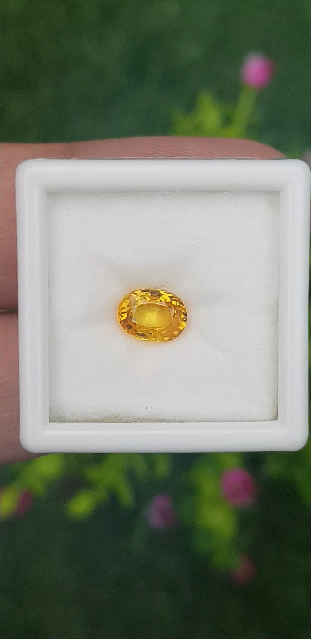 พลอย บุษราคัม Yellow Sapphire 1.35 กะรัต (Cts.) พลอยแท้ อัญมณีมงคลประจําวันเกิด เครื่องประดับพลอย