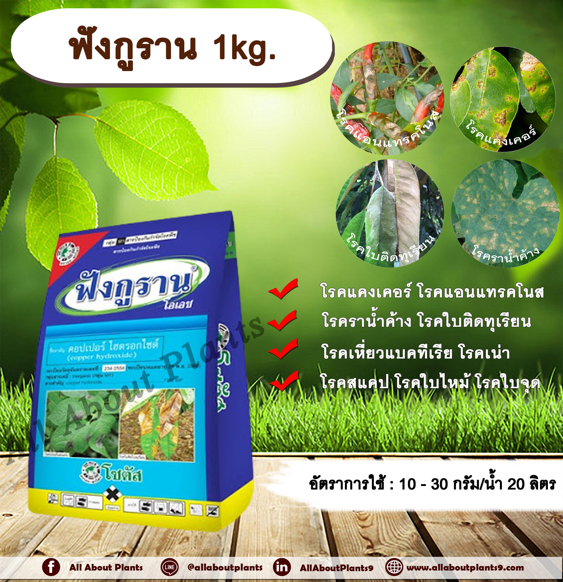ฟังกูราน 1kg. คอปเปอร์ไฮดรอกไซด์ สารกำจัดเชื้อรา สารกำจัดแบคทีเรีย โรคแคงเคอร์ โรคแอนแทรคโนส โรคราน้ำค้าง โรคใบติดทุเรียน โรคเหี่ยวแบคทีเรีย โรคเน่าเละแบคทีเรีย โรคสแคป โรคใบไหม้ โรคใบจุด allaboutplants ชิ้น