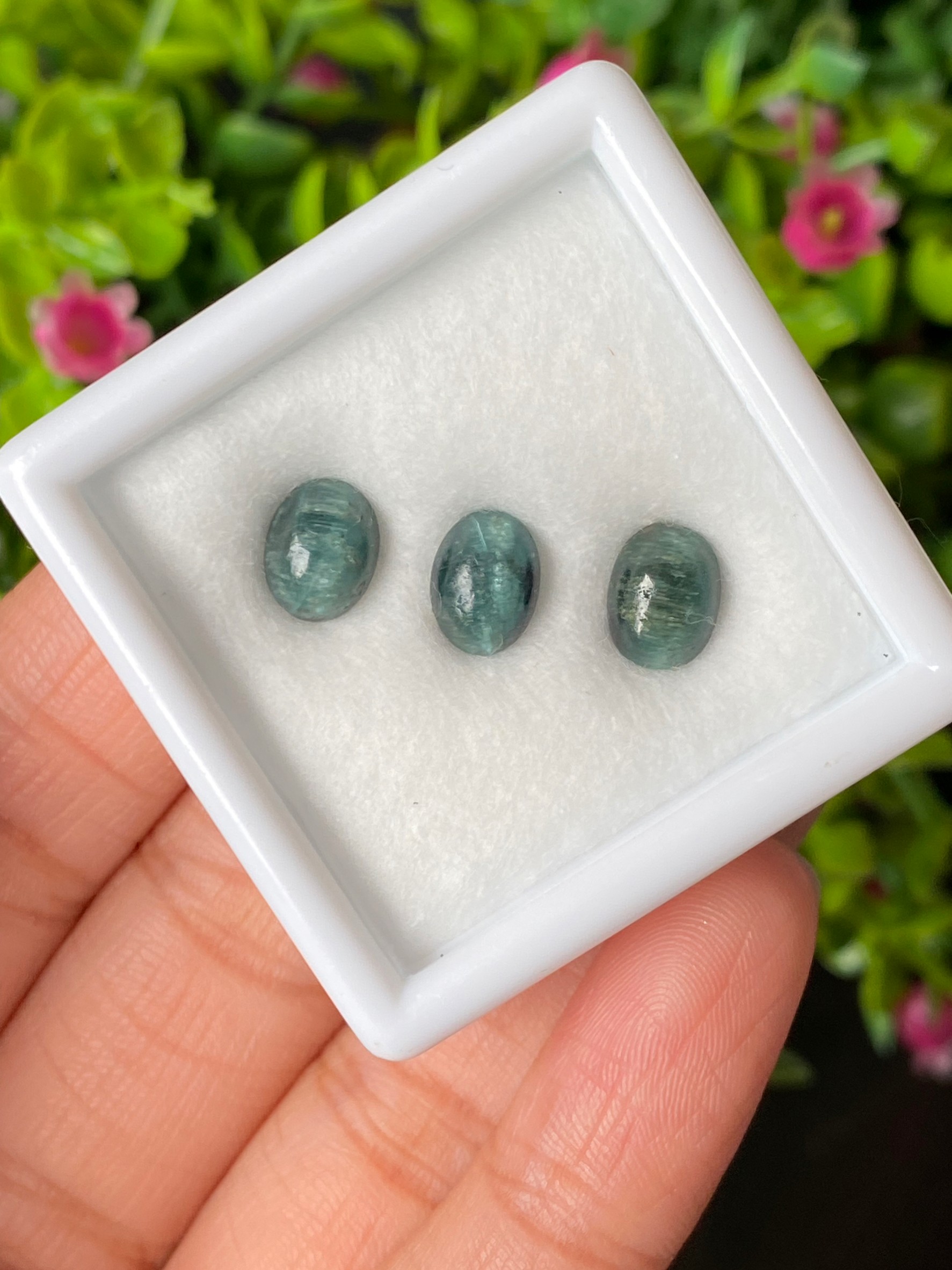 ตาแมว ทัวร์มาลีน Cat eye Tourmaline 4.81 กะรัต Cts. 3 เม็ด (Pcs.) พลอยแท้ อัญมณีมงคลประจําวันเกิด เครื่องประดับพลอย