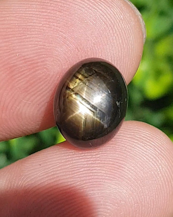 พลอย แบล็ค สตาร์ แซฟไฟร์ Black Star Sapphire 8.60 กะรัต (Cts.) ดิบ Unheated พลอยแท้ อัญมณีมงคลประจําวันเกิด เครื่องประดับพลอย