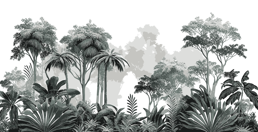 Wallpaper Digital Printing TR24005