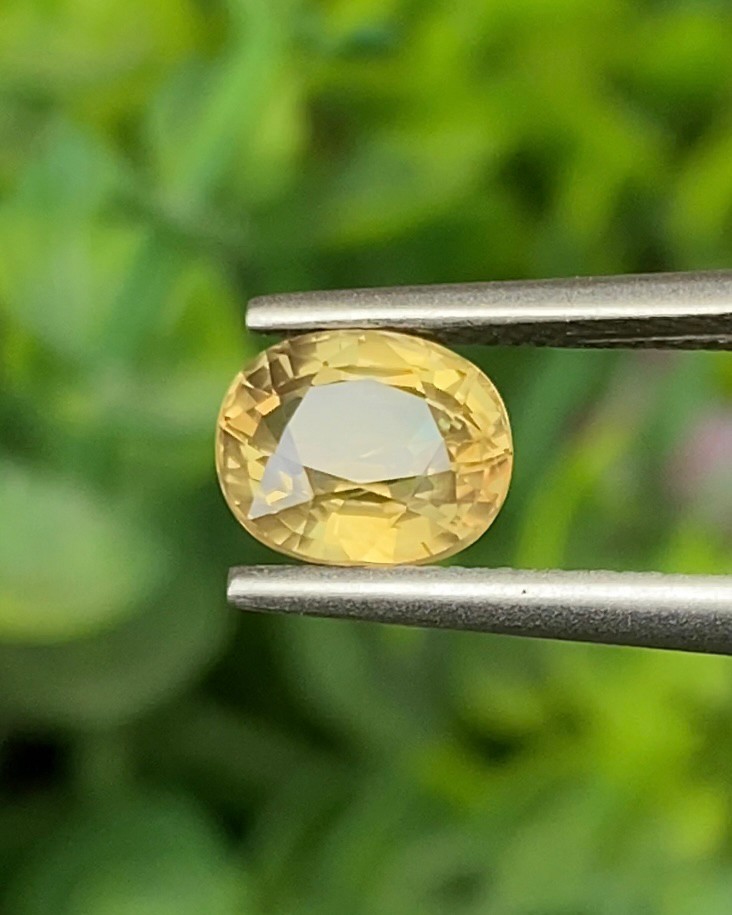 พลอย บุษราคัม Yellow Sapphire 1.64 กะรัต (Cts.) ดิบ ไม่ผ่านการเผา (Unheated) พร้อมใบเซอร์ พลอยแท้ อัญมณีมงคลประจําวันเกิด เครื่องประดับพลอย