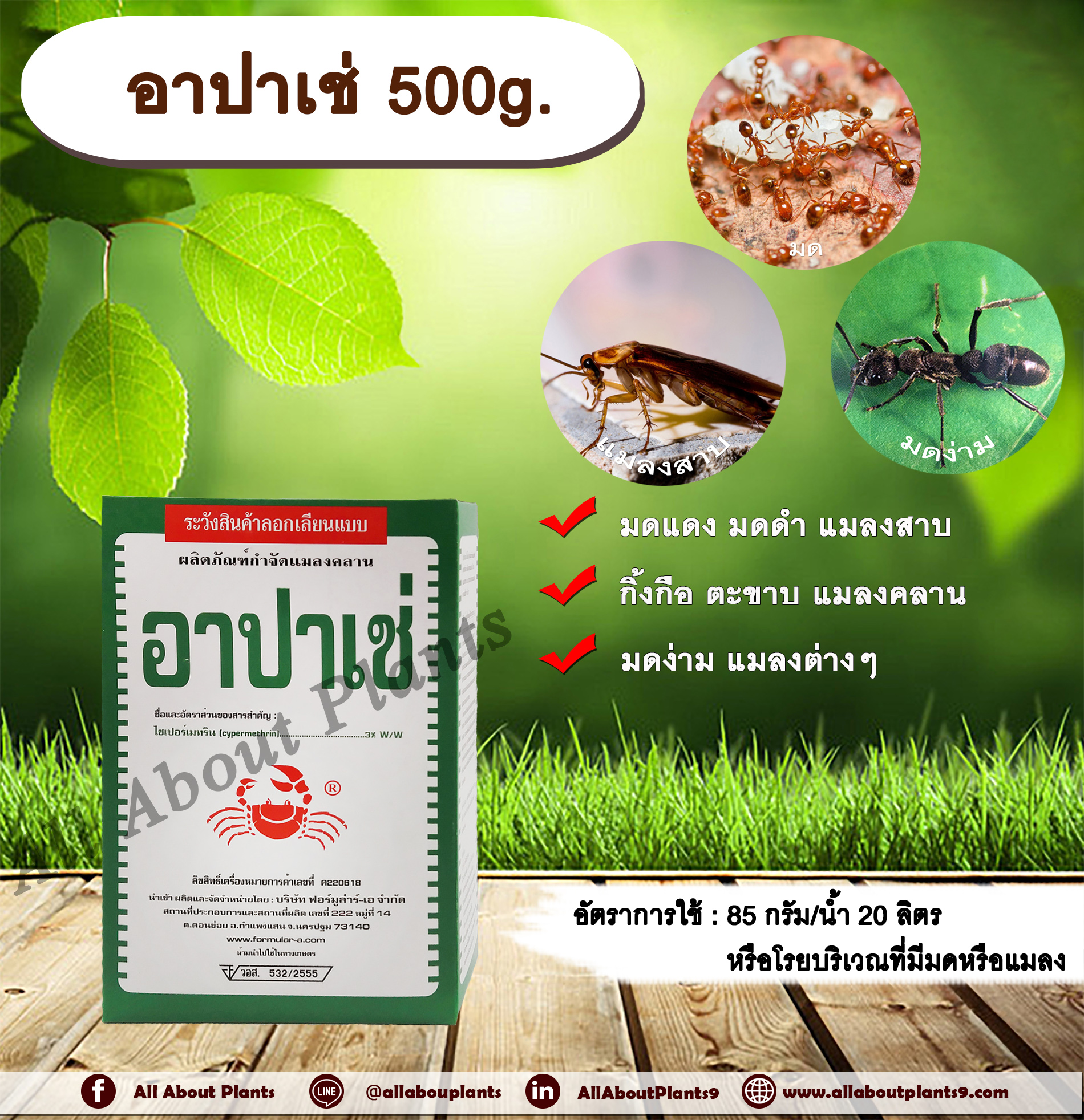 อาปาเช่ 500g. ไซเพอร์เมทริน ไซเปอร์เมทรินสารกำจัดแมลง โรยมด กำจัดมด แมลงสาบ ตัวสามง่าม แมลงคลาน กิ้งกือ ตะขาบ เบื่อปู allaboutplants ชิ้น