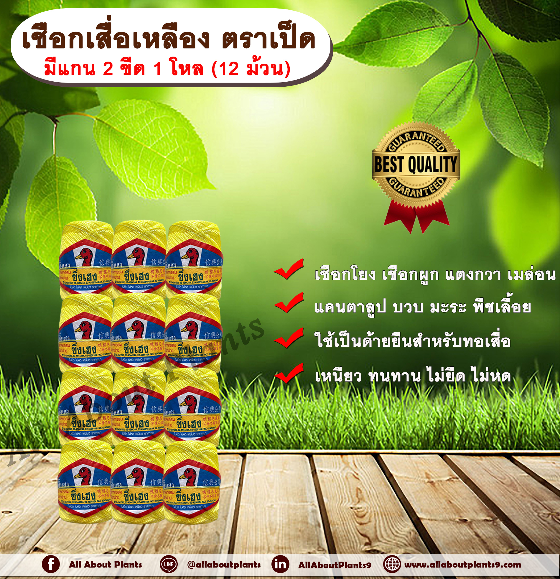 เชือกเสื่อเหลือง ตราเป็ด มีแกน 2 ขีด 1 โหล (12 ม้วน) เชือกโยง เชือกผูกแตงกวา เมล่อน แคนตาลูป บวบ มะระ พืชเลื้อย ทอเสื่อ เชือกเหลือง เชือกตราเป็ด ชิ้น