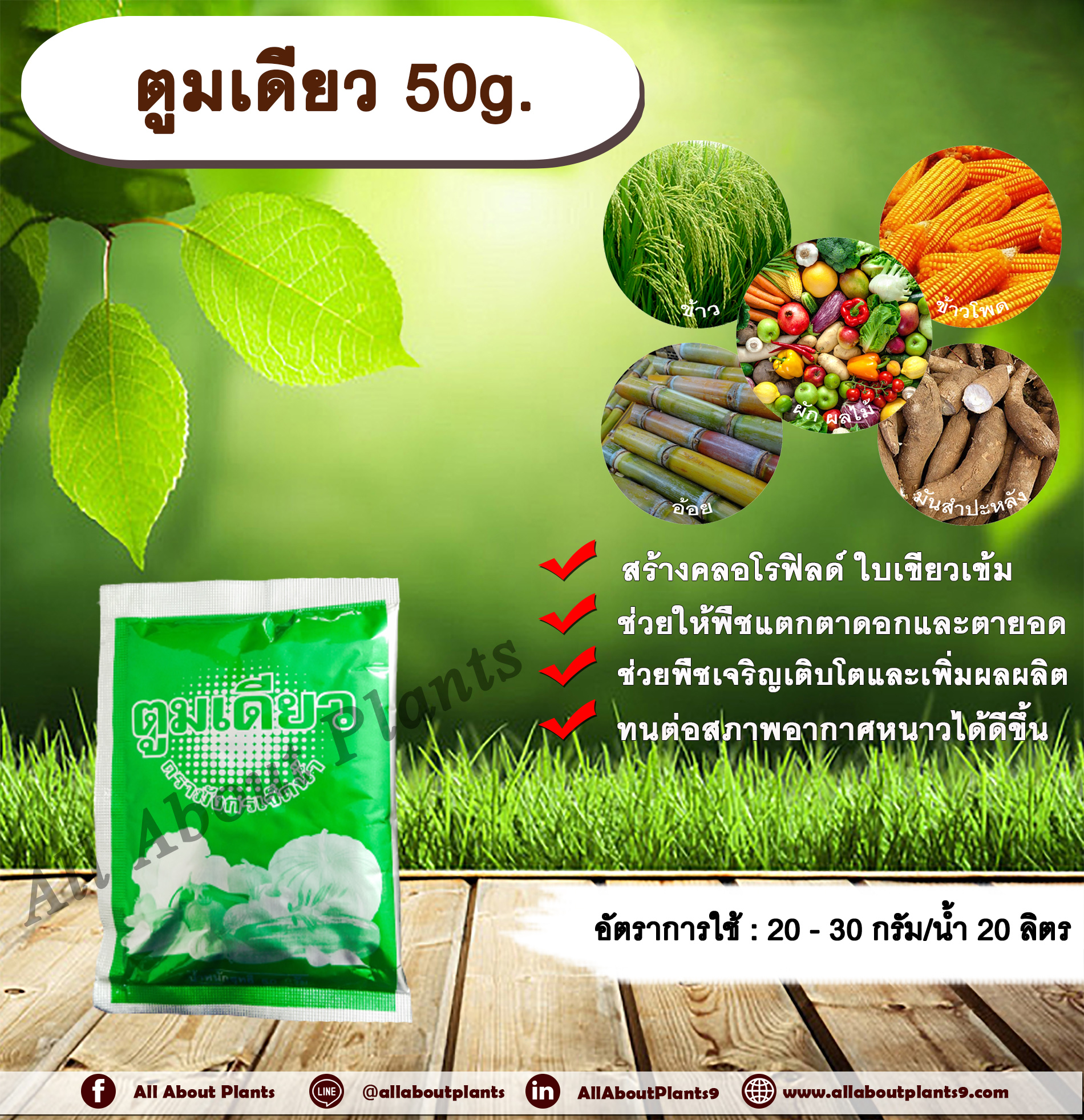 ตูมเดียว 50g. ธาตุอาหารรอง ธาตุอาหารเสริม สร้างคลอโรฟิลด์ ใบเขียวเข้ม พืชแตกตาดอกและตายอด พืชเจริญเติบโต เพิ่มผลผลิต ให้พืชทนต่อสภาพอากาศหนาว ฮอร์โมนพืช allaboutplants ชิ้น