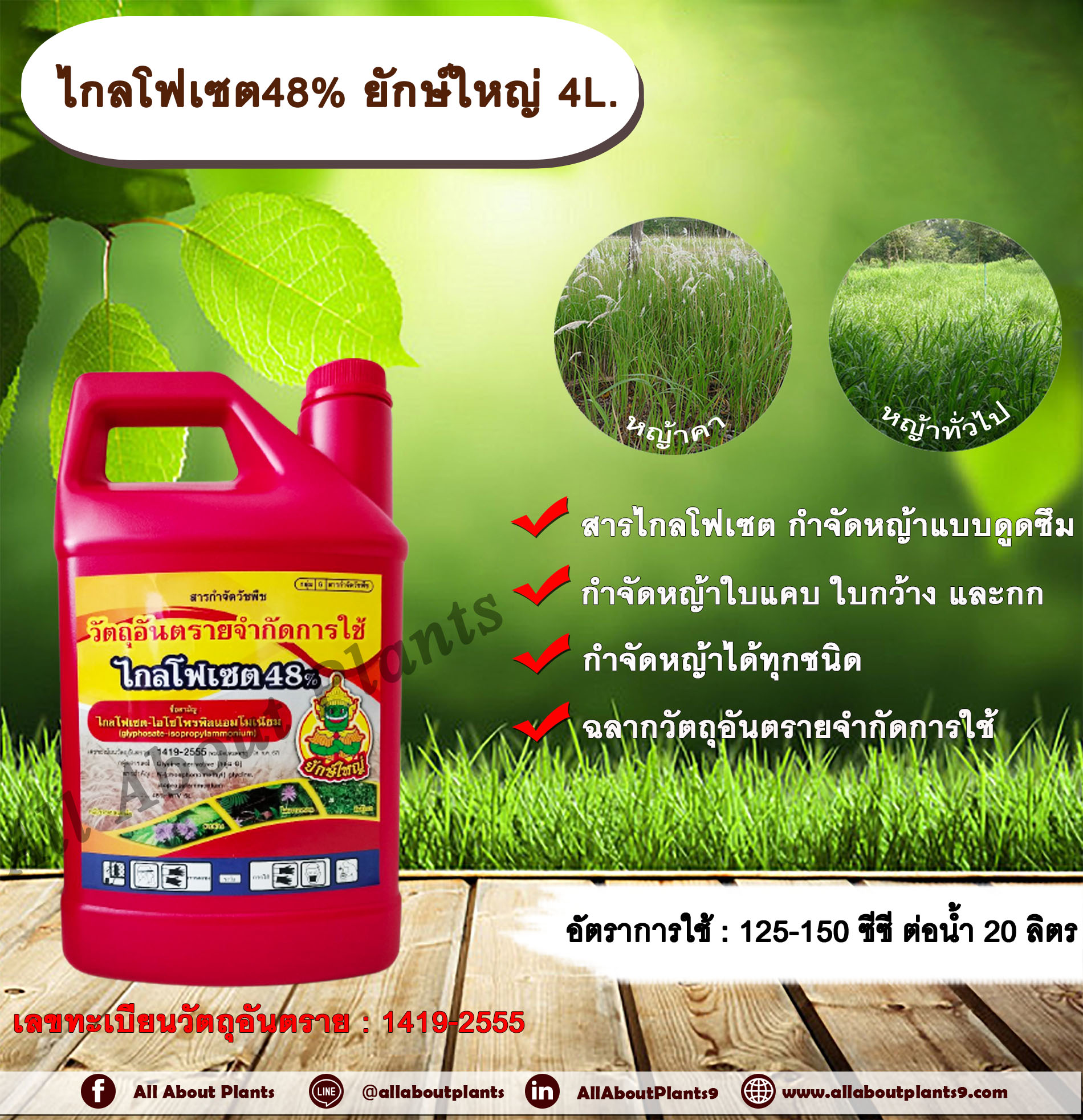 ไกลโฟเซต48% ยักษ์ใหญ่ 4L. ไกลโฟเซต สารกำจัดวัชพืช แบบดูดซึม กำจัดหญ้าทั่วไป หญ้าคา วัชพืชข้ามปี และกก ดูดซึมไม่เลือกทำลาย Glyphosate กระติก