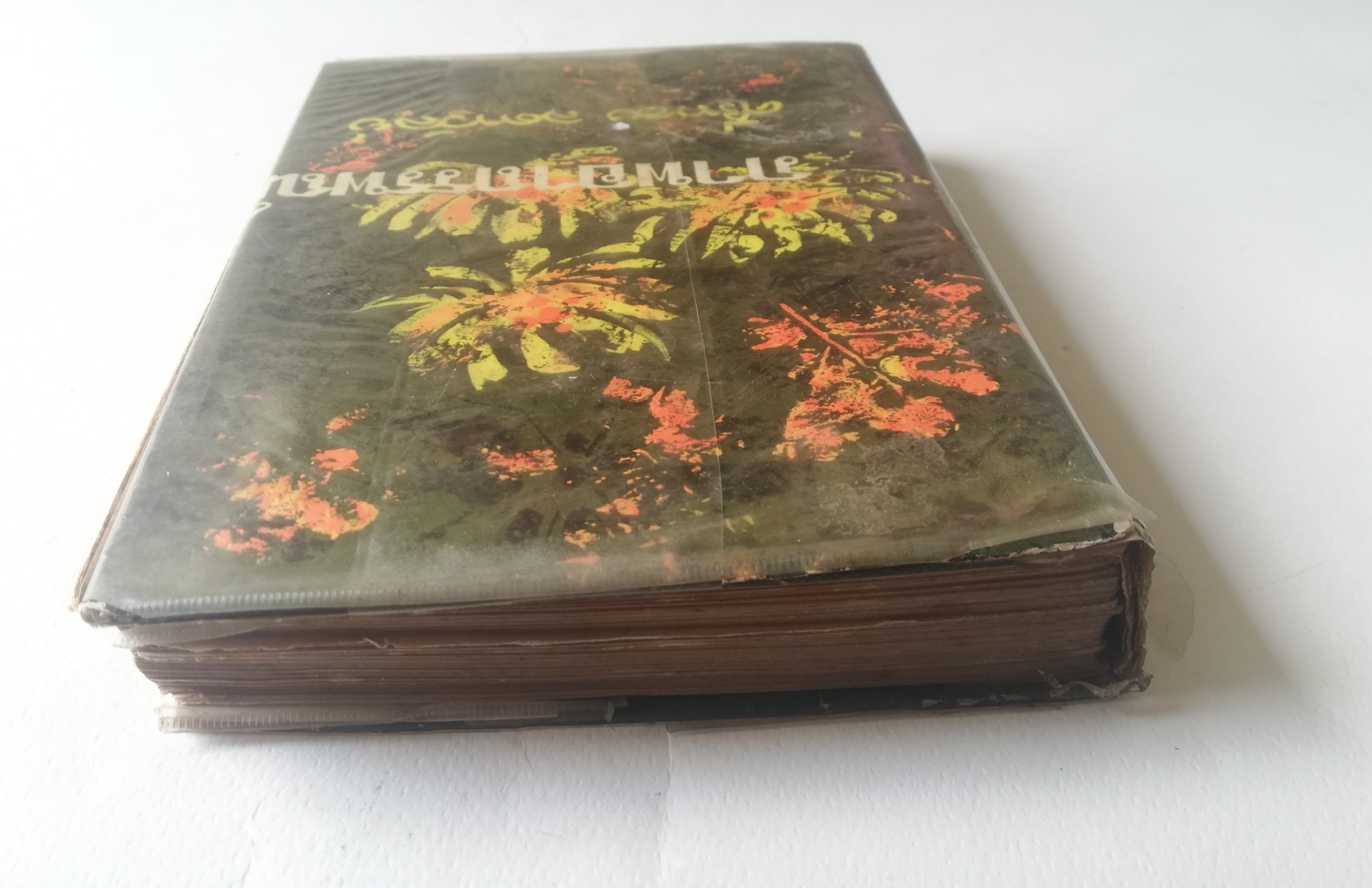 หนังสือนิยายเก่าปี 2515, ***หนังสือเก่า มีการซ่อม หลุดจากสัน ห่อปกพลาติก โปรดตรวจสอบทุกภาพ, ภาพอาถรรพณ์ เล่มเดียวจบ โดย ศรีทอง ลดาวัลย์
