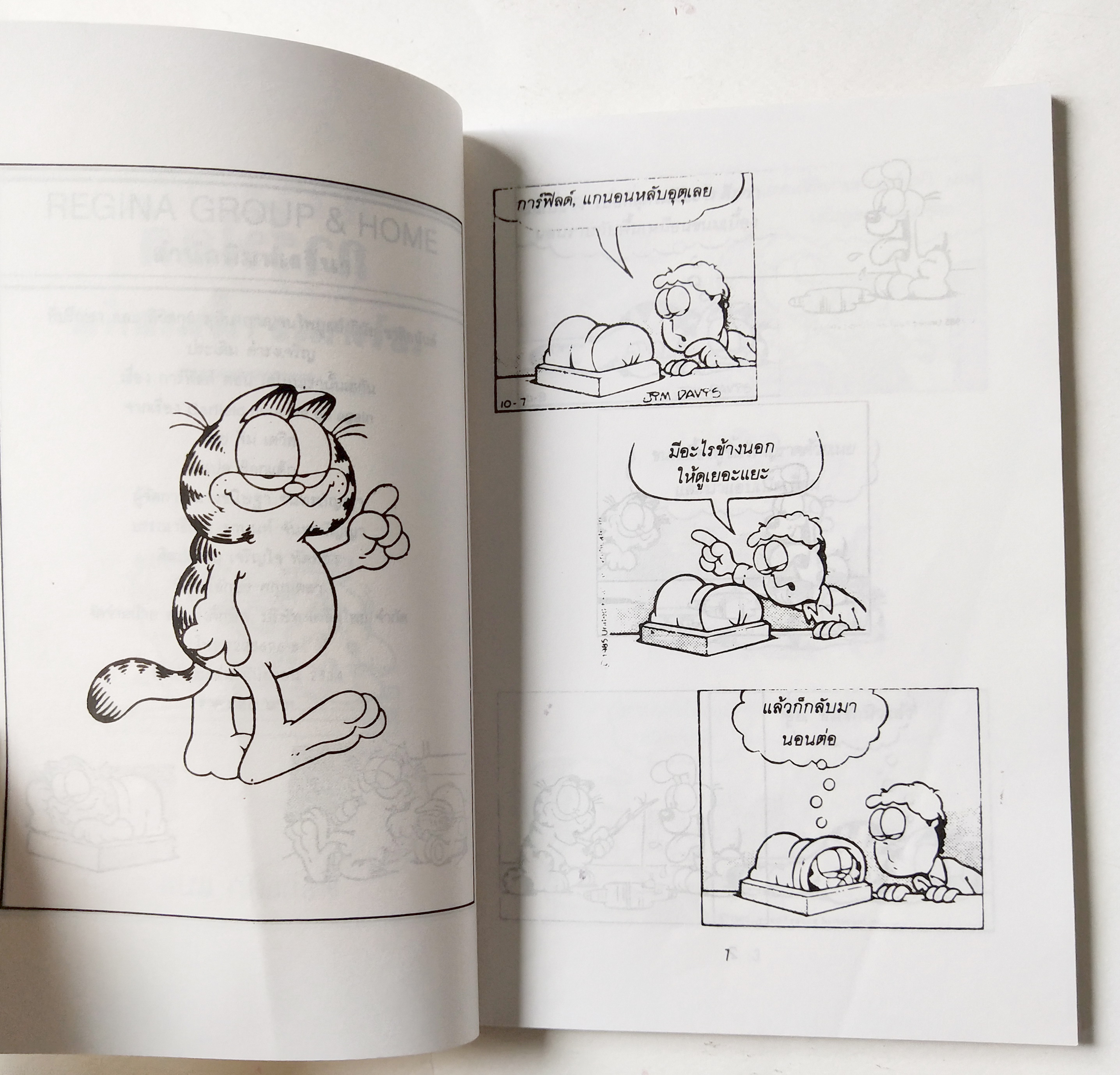 หนังสือการ์ตูน สำนักพิมพ์เรจีนา ,การ์ฟิลด์ Garfield เฮไหนเรานั้นเฮกัน โดย จิม เดวิส, ต๊อกแต๊ก แปลและเรียบเรียง พิมพ์รวมเล่ม กันยายน 2534