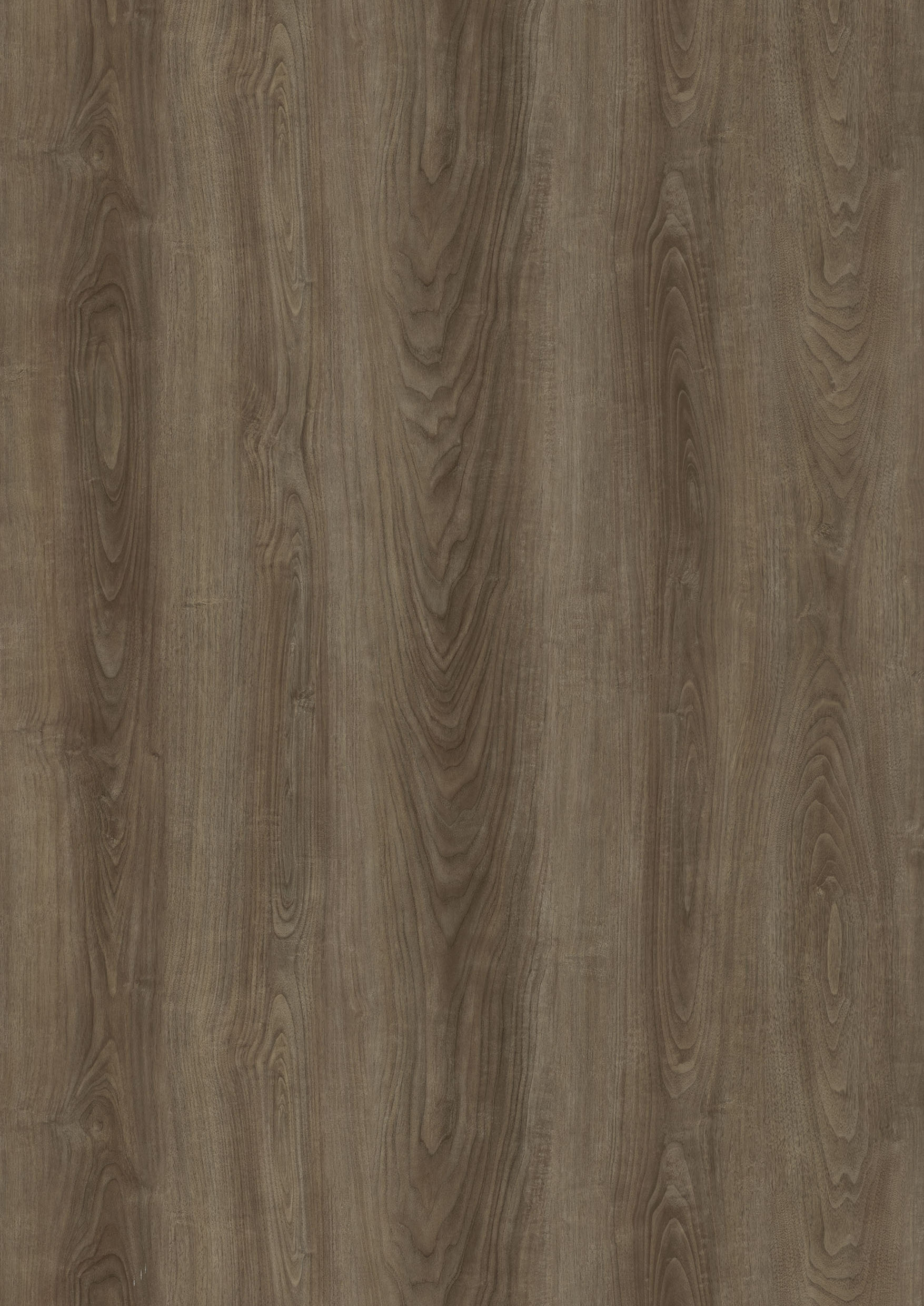 SMP-8014-WG Eastern Walnut