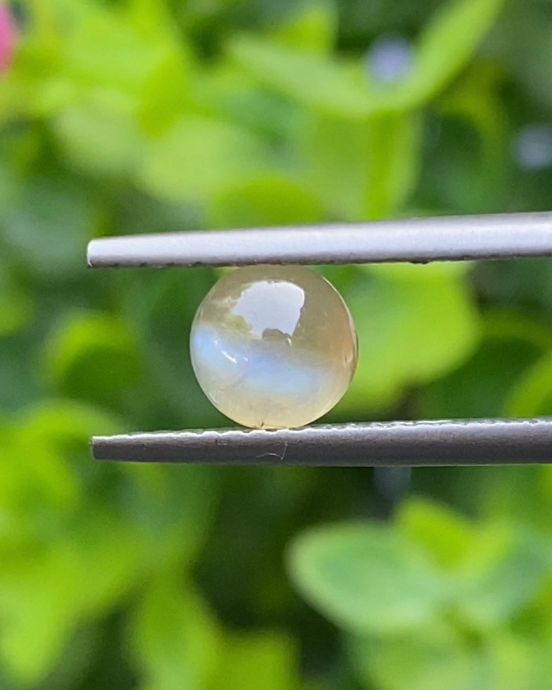 พลอย ตาแมว คริโซเบริล Cat eye Chrysoberyl 1.00 กะรัต (Cts.) พลอยแท้ อัญมณีมงคลประจําวันเกิด เครื่องประดับพลอย