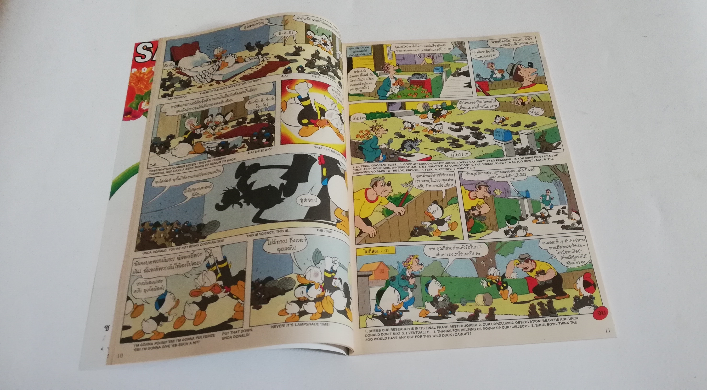 หนังสือการ์ตูน2ภาษาจากดิสนีย์ เนชั่นคอมิคส์, มิกกี้และสหาย ฉบับที่167 ตอน ชุดสวยของเดซี่