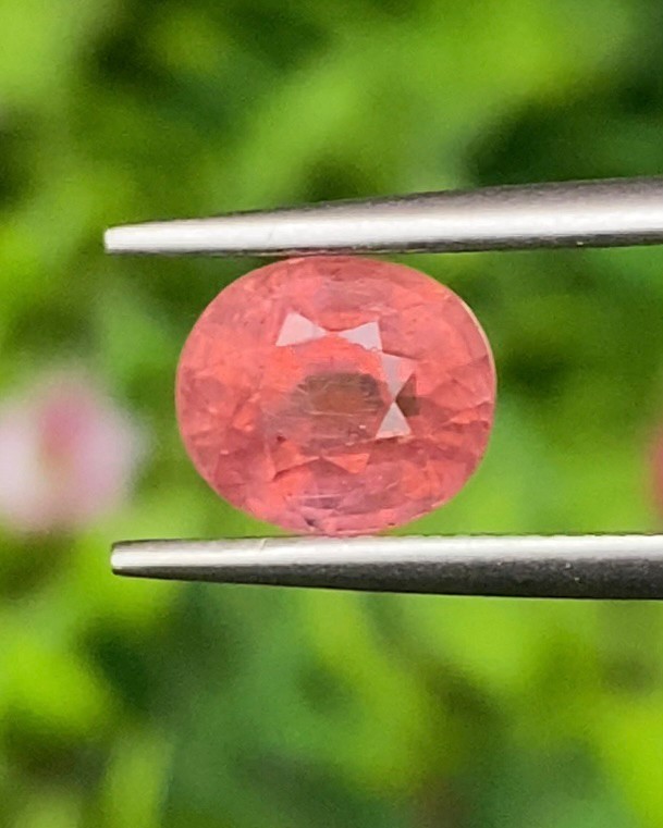 พลอย ออเรนจ์ แซฟไฟร์ Orange Sapphire 2.33 กะรัต (Cts.) พร้อมใบเซอร์ พลอยแท้ อัญมณีมงคลประจําวันเกิด เครื่องประดับพลอย