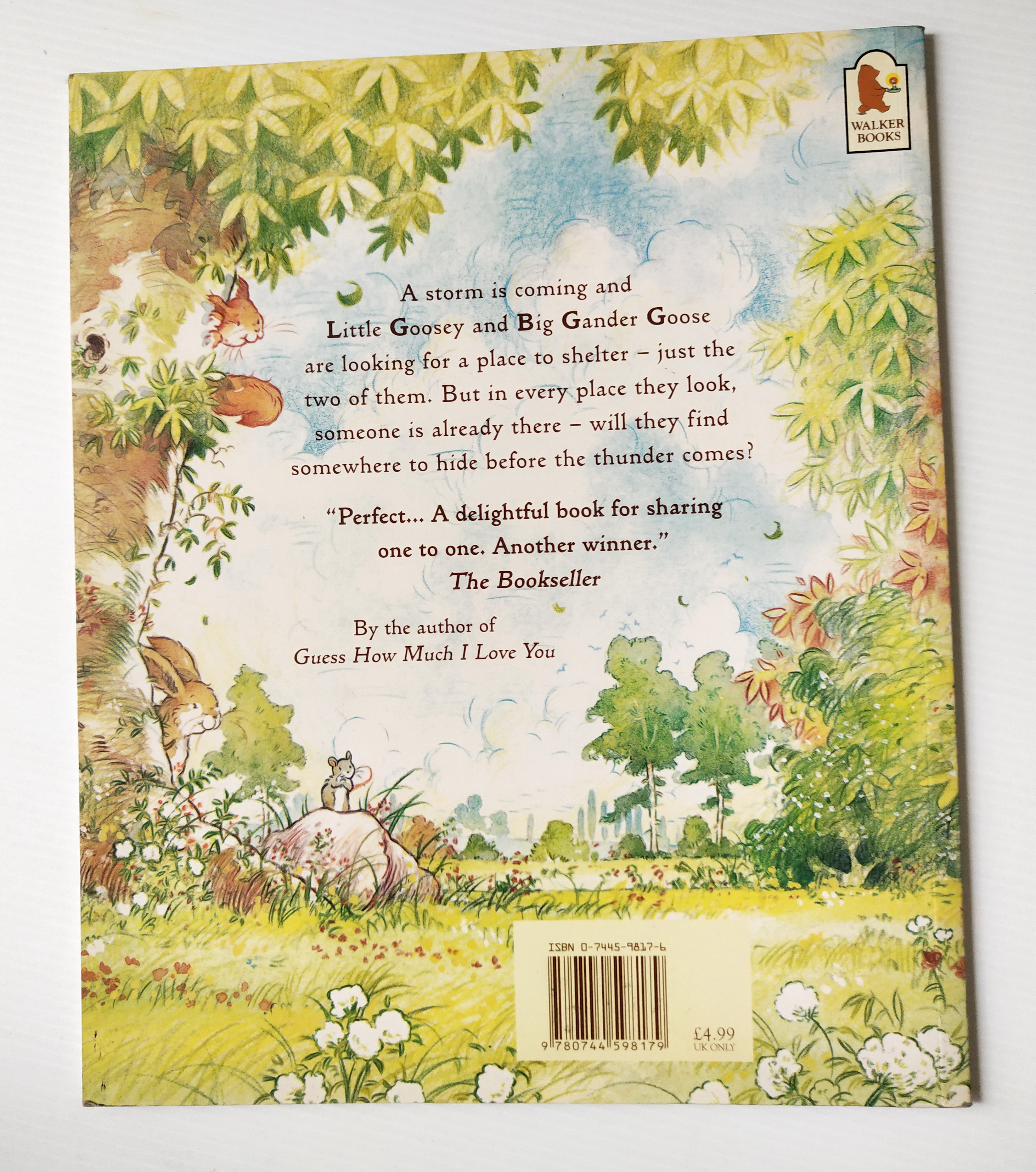 หนังสือนิทานฉบับภาษาอังกฤษ เรื่องราวของครอบครัวห่าน และห่านน้อย จาก SAM MCBRATNEY,"Just You and Me" ภาพโดย Ivan Bates