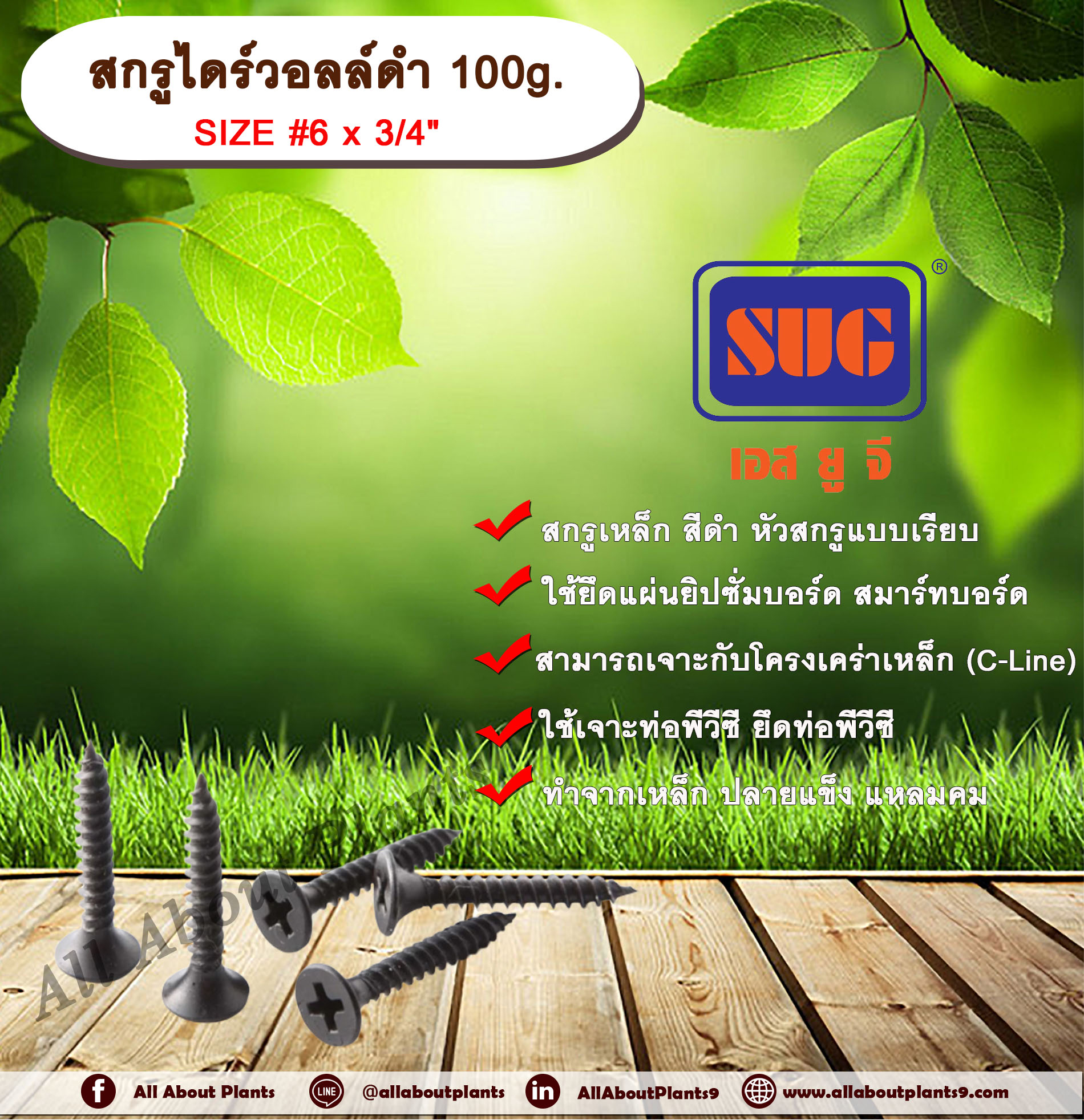 สกรูไดร์วอล์ดำ 6x3/4” 100g. สกรูยึดแผ่นยิปซั่ม สกรูดำยิงฝ้า สกรูไดวอล น๊อตดำ สกรูดำ น๊อตยิงฝ้า เกลียวดำ สกรูยึดแผ่นเรียบ ถุง