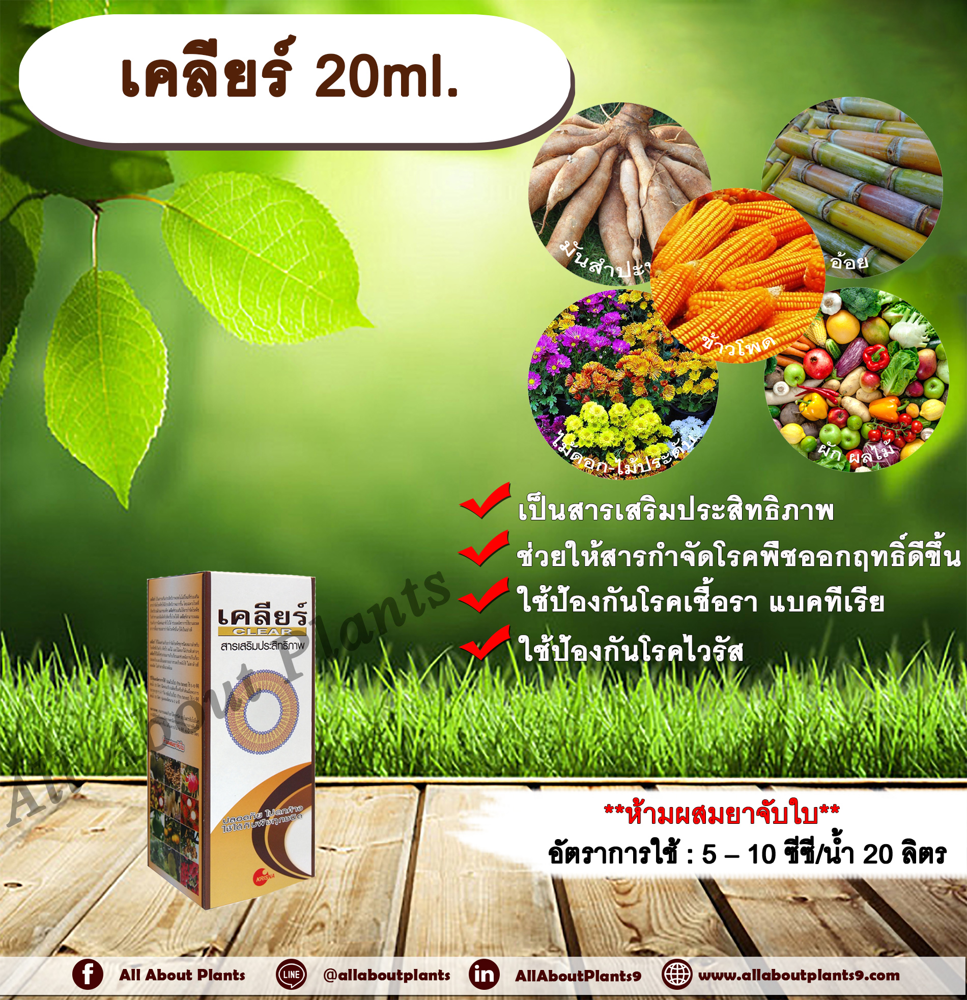 เคลียร์ 20ml. สารเสริมประสิทธิภาพ ช่วยให้สารกำจัดโรคพืชมีประสิทธิภาพมากขึ้น ป้องกันโรคเชื้อรา แบคทีเรีย ไวรัส ขัดผิวผลผลิต allaboutplants ชิ้น