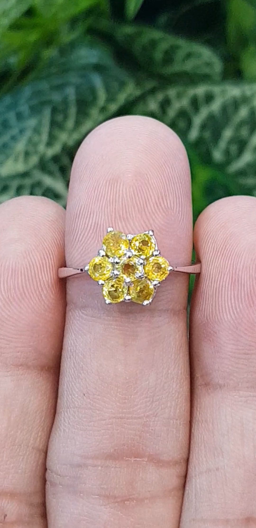 แหวน พลอยบุษราคัม Yellow Sapphire Silver Ring (Size) 58 ตัวเรือนเงิน ชุบทองคำขาว/โรเดียม