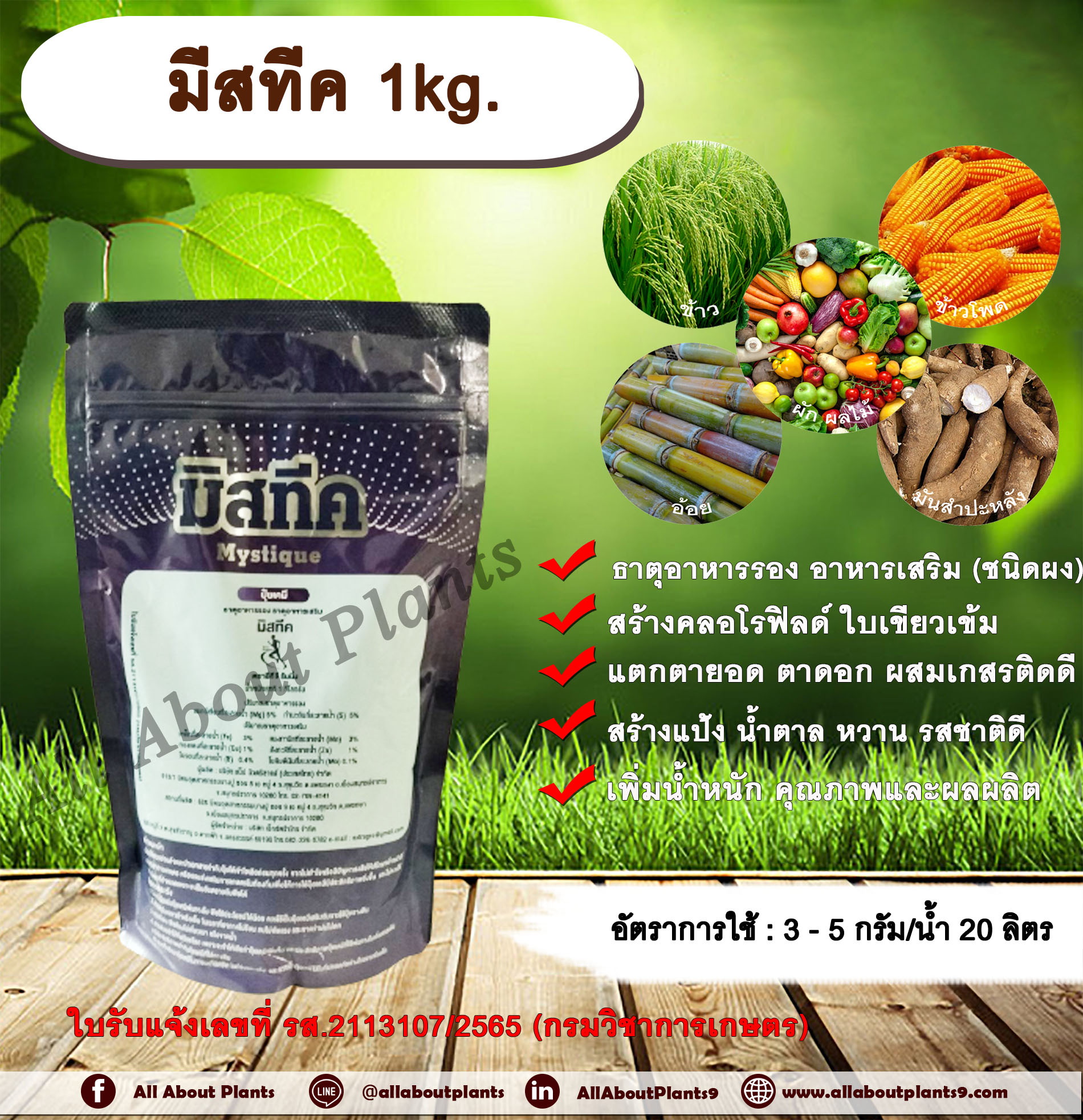 มีสทีค 1kg. ธาตุอาหารรอง ธาตุอาหารเสริม ใบเขียว สร้างคลอโรฟิลด์ แตกตายอด แตกตาดอก ผสมเกสรติดดี สร้างแป้ง สร้างน้ำตาล หวาน รสชาติดี เพิ่มน้ำหนัก เพิ่มคุณภาพ เพิ่มผลผลิต ป้องกันเมล็ดลีบ ธาตุอาหารพืช allaboutplants ชิ้น