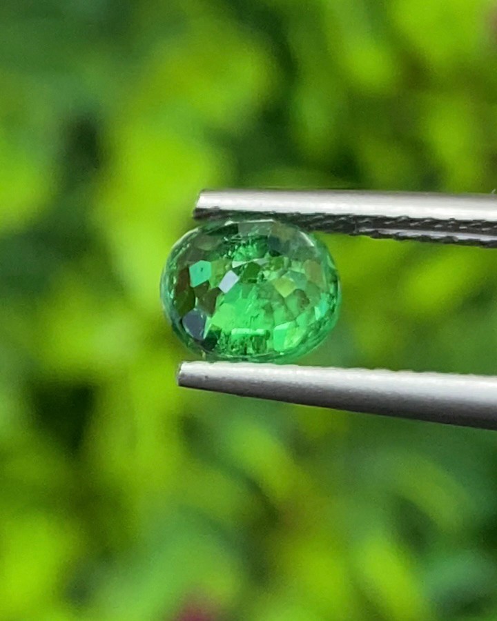 พลอย ซาโวไรท์ Tsavorite Garnet 1.25 กะรัต (Cts.) ดิบ Unheated พลอยแท้ อัญมณีมงคลประจําวันเกิด เครื่องประดับพลอย