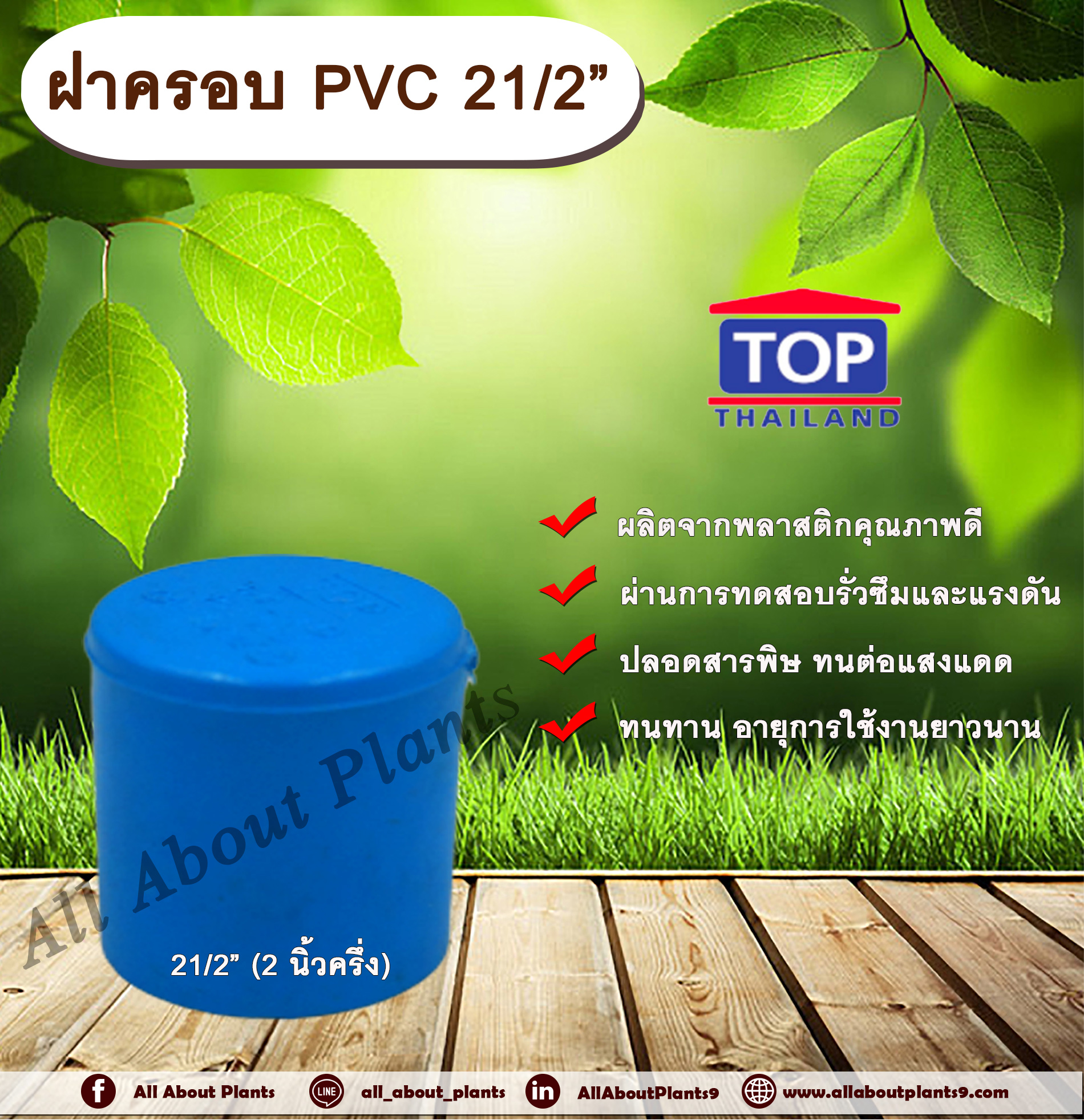 ฝาครอบ PVC ตรา TOP 21/2”(2นิ้วครึ่ง) ฝาครอบท่อPVC ขนาด 2นิ้วครึ่ง ตัวอุดท่อ ฝาปิดท่อพีวีซี allaboutplants ชิ้น