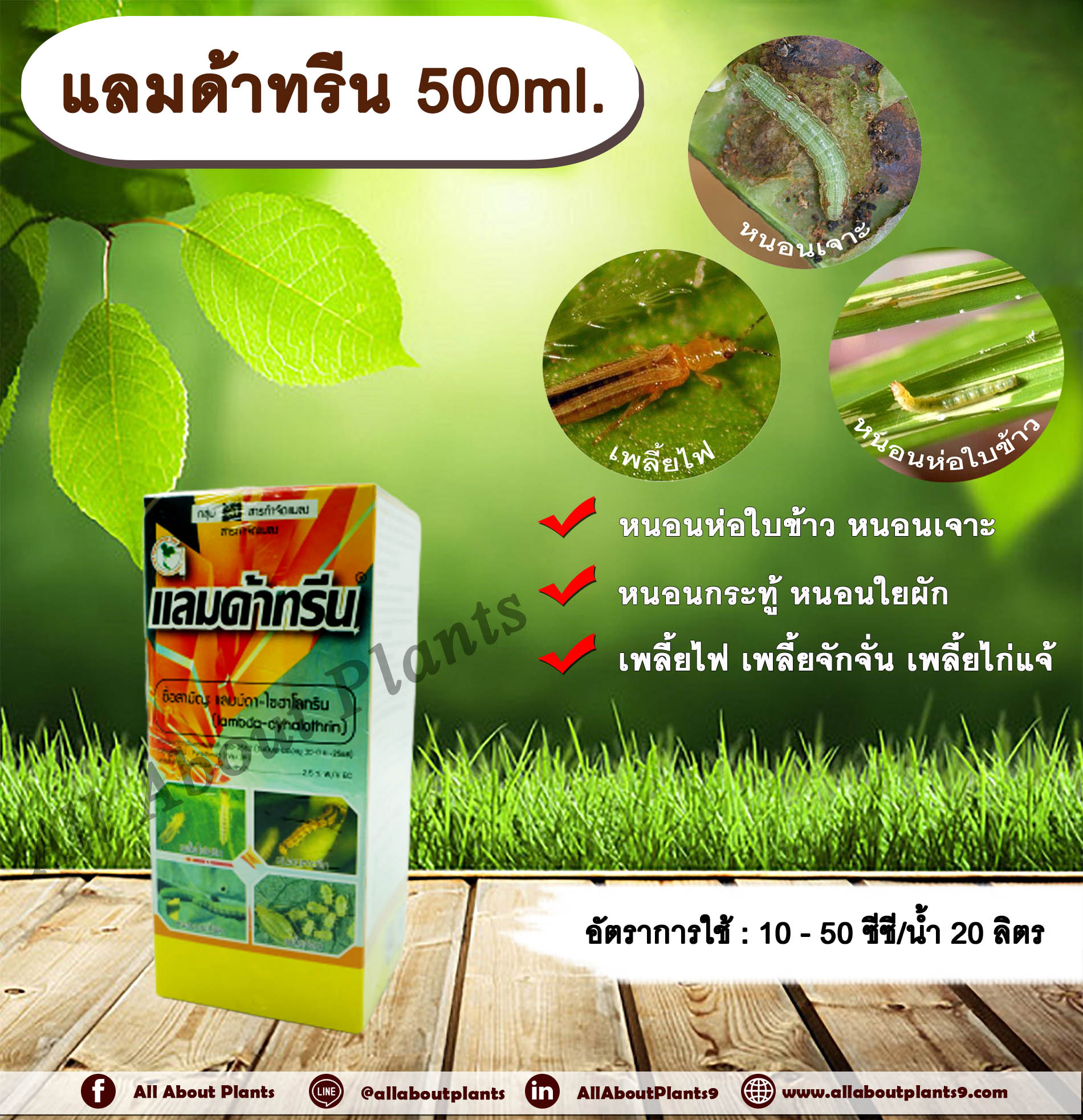 แลมด้าทรีน 500ml. แลมบ์ดาไซฮาโลทริน สารกำจัดแมลง กำจัดหนอน หนอนห่อใบข้าว หนอนเจาะ กำจัดเพลี้ย น็อคเย็น allaboutplants ชิ้น