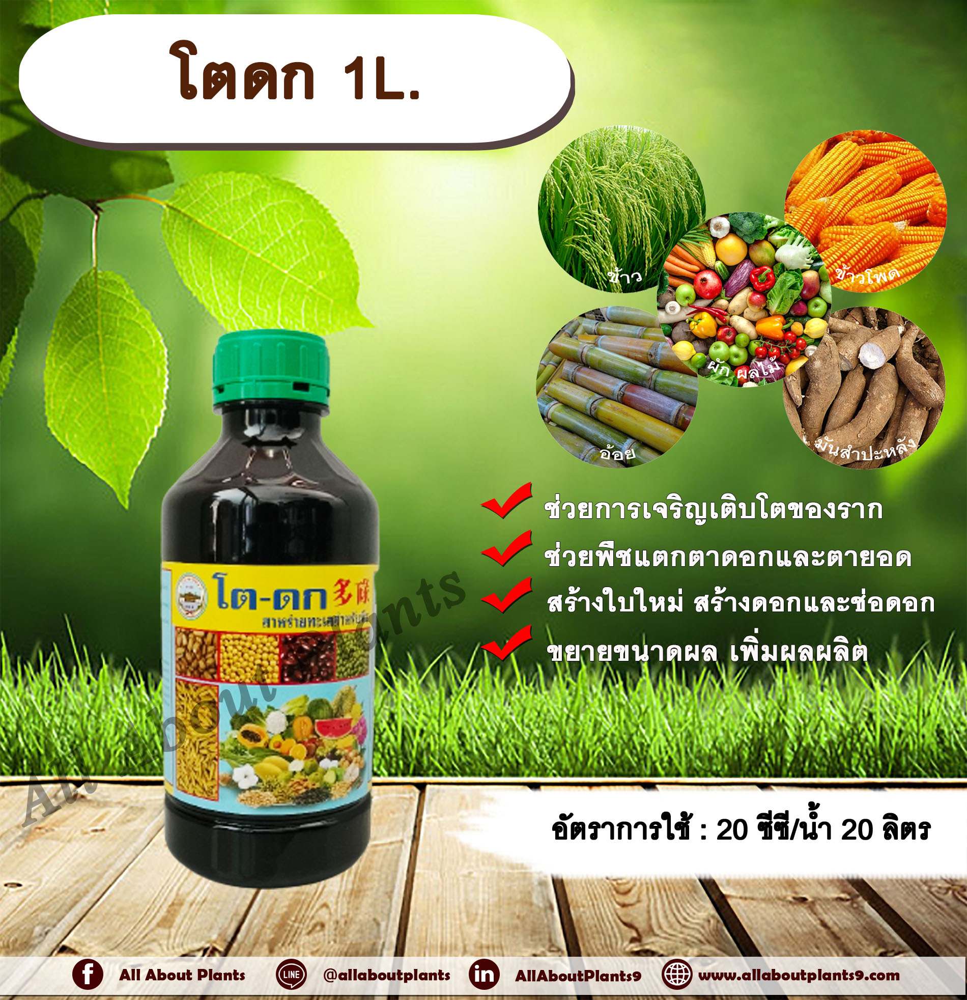 โตดก 1L . สาหร่ายทะเลสำหรับพืช เร่งราก เร่งใบ แตกตายอด แตกตาดอก สร้างใบใหม่ สร้างดอก สร้างช่อดอก ขยายขนาดผล เพิ่มผลผลิต ขวด