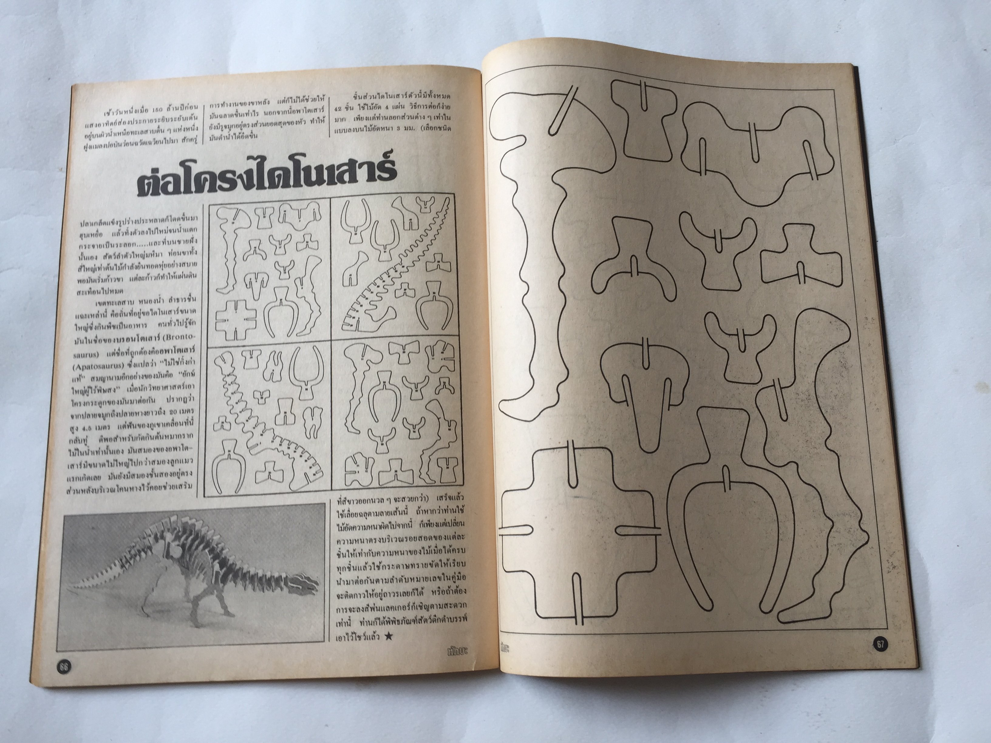 นิตยสาร ทักษะ วิทยาศาสตร์เทคโนโลยี ฉบับที่ 31 สิงหาคม 2524 ราคาปก 10 บาท