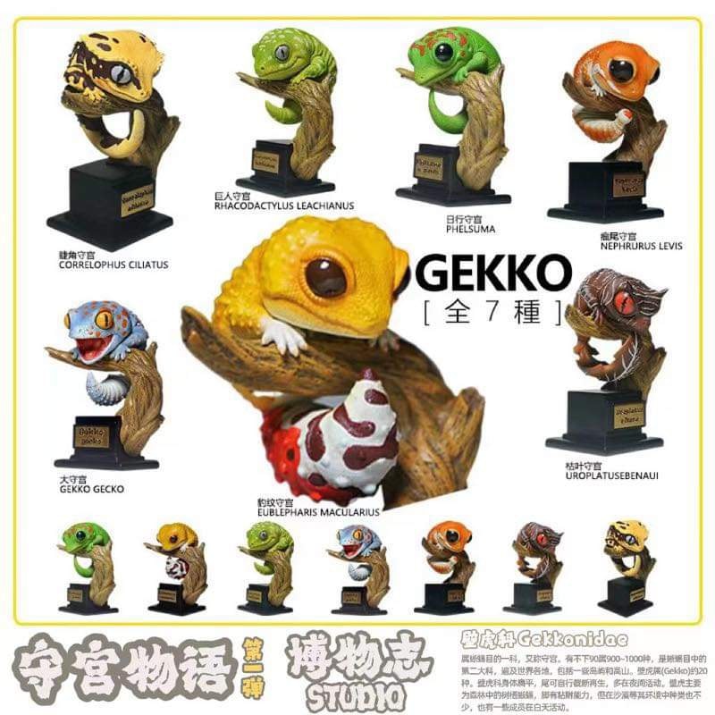 (PRE-ORDER) GEKKONIDAE