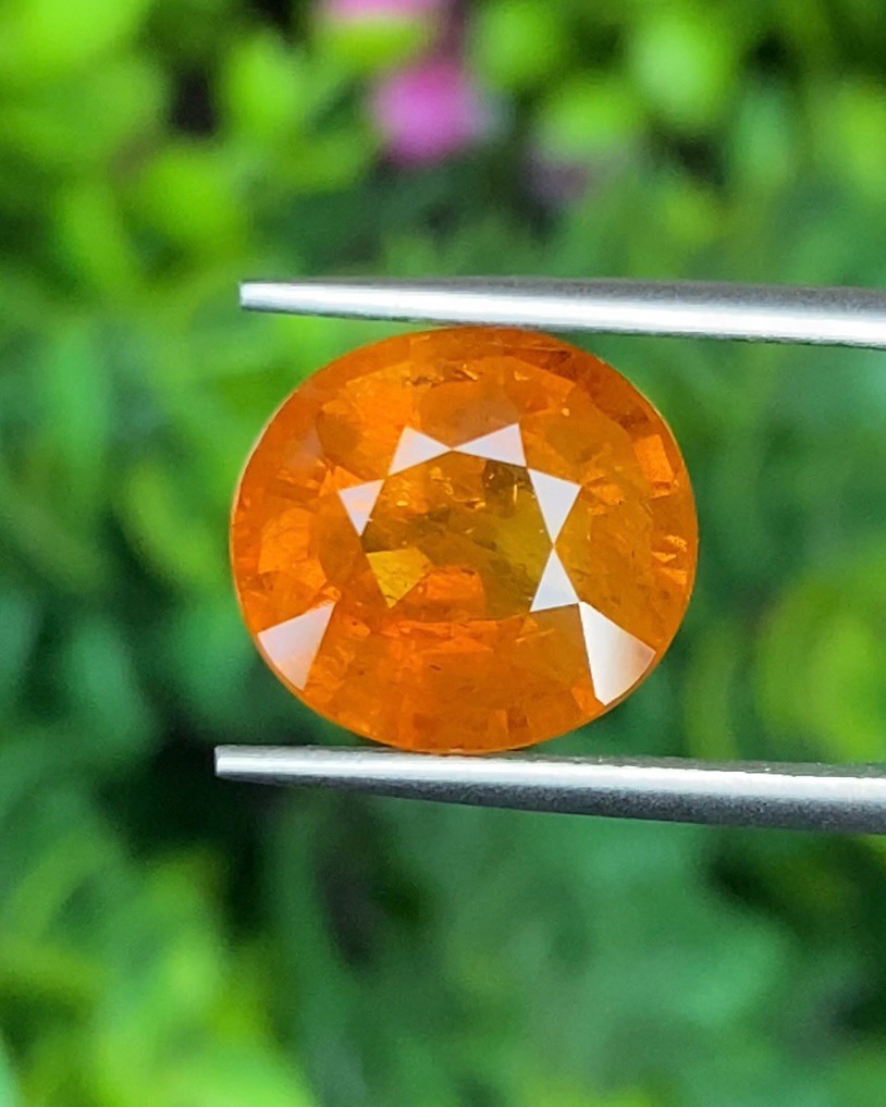 พลอย บุษราคัม yellow sapphire 7.16 กะรัต พร้อมใบเซอร์ พลอยแท้ อัญมณีมงคลประจําวันเกิด เครื่องประดับพลอย