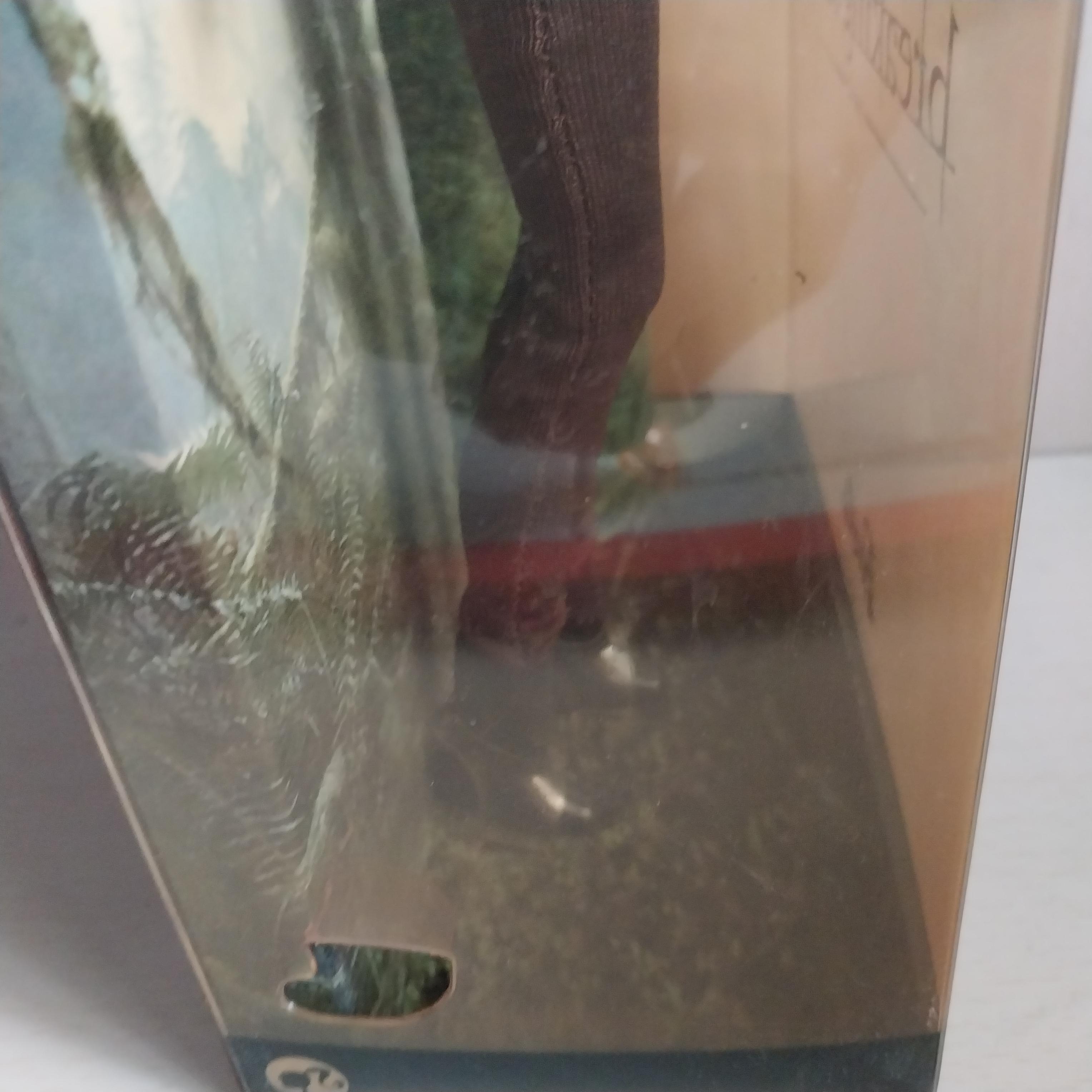 มือ1 เก่าเก็บในกล่อง ตุ๊กตาเบลล่า จากแวมไพร์ทไวไลท์2 ,Vampire Twilight Breaking Dawn ,Pink Label Barbie