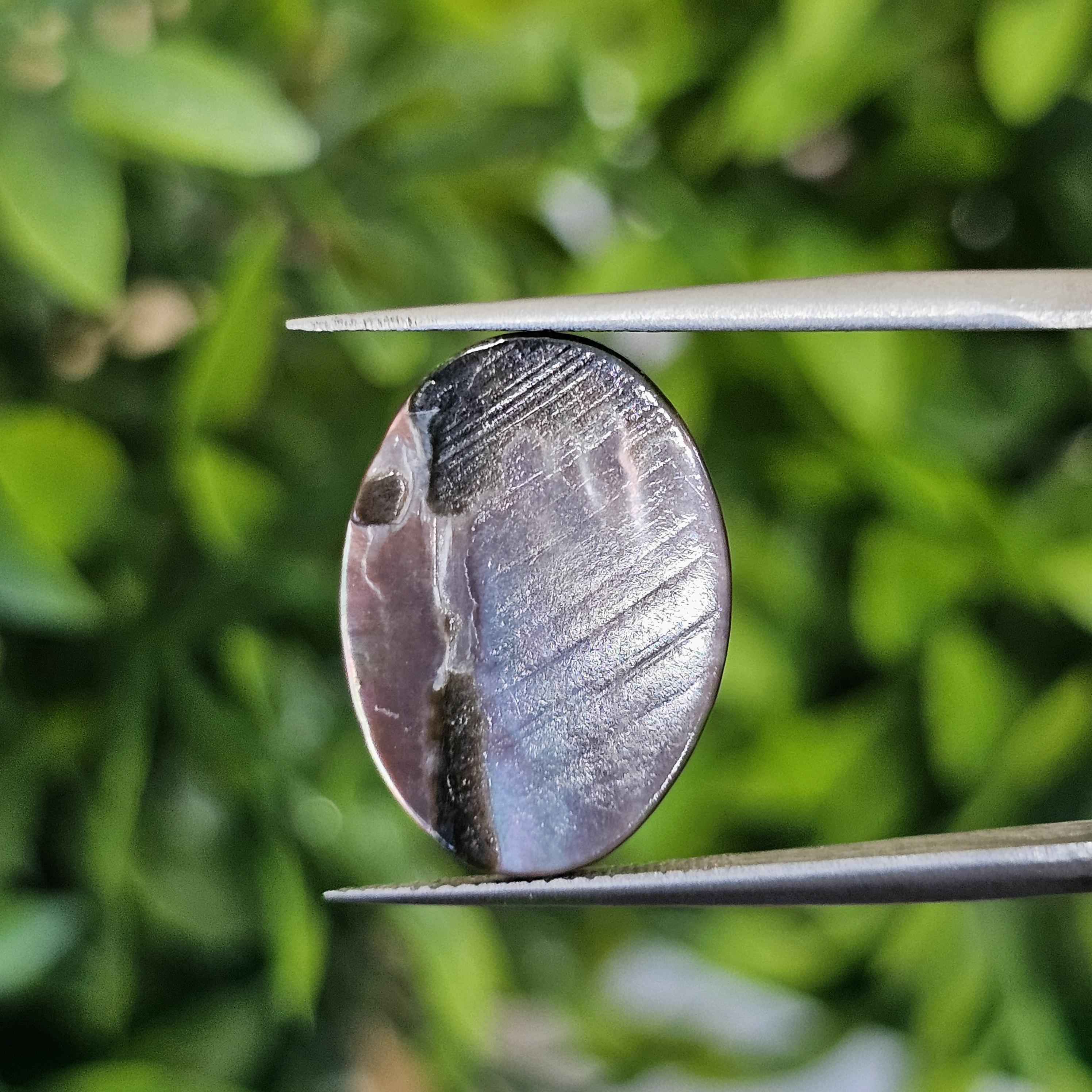 เปลือกหอยมุก แกะสลัก Pearl Shell Carved 3.11 กะรัต (Cts.)