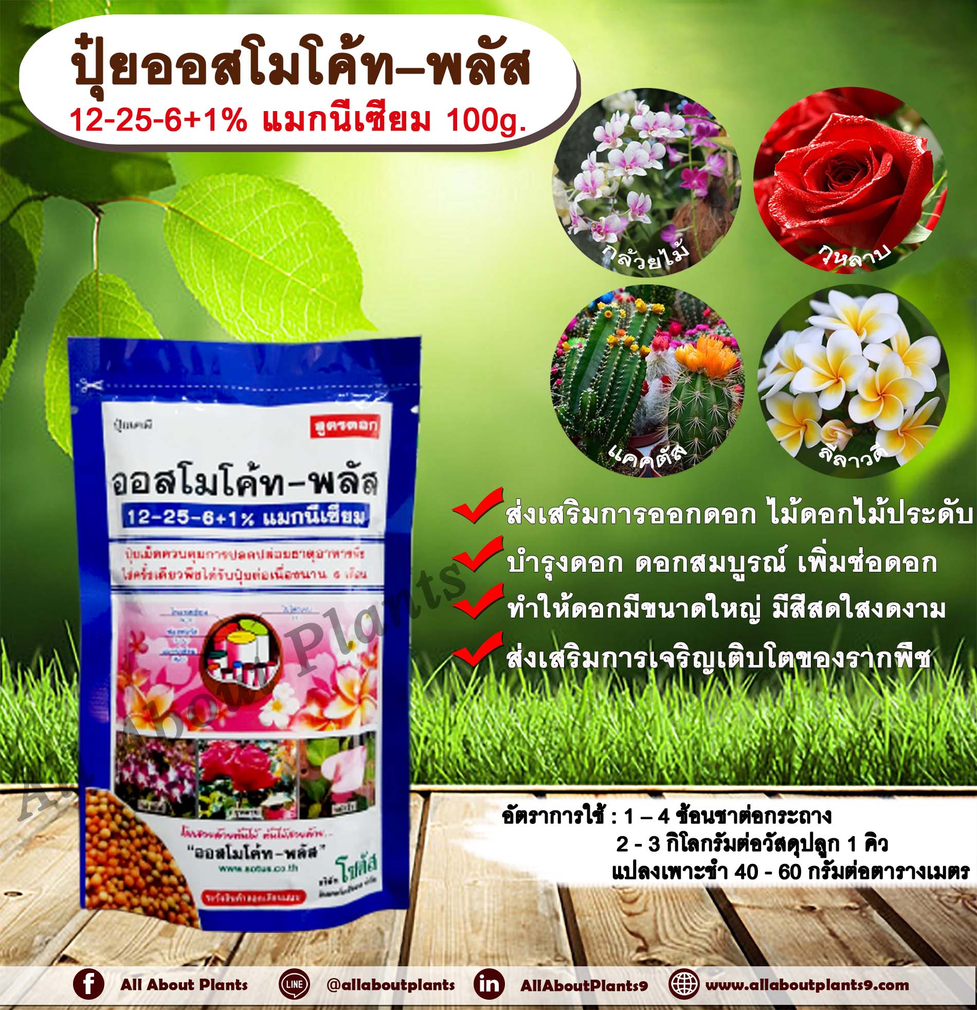 ปุ๋ยออสโมโค้ท – พลัส 12-25-6+1% แมกนีเซียม 100g. ส่งเสริมการออกดอก ไม้ดอกไม้ประดับ บำรุงดอก ดอกสมบูรณ์ เพิ่มช่อดอก ทำให้ดอกมีขนาดใหญ่ มีสีสดใสงดงาม ส่งเสริมการเจริญเติบโตของรากพืช ปุ๋ยละลายช้า บำรุงไม้ดอกไม้ประดับ กล้าไม้ต่างๆ ไม้ผล ซอง