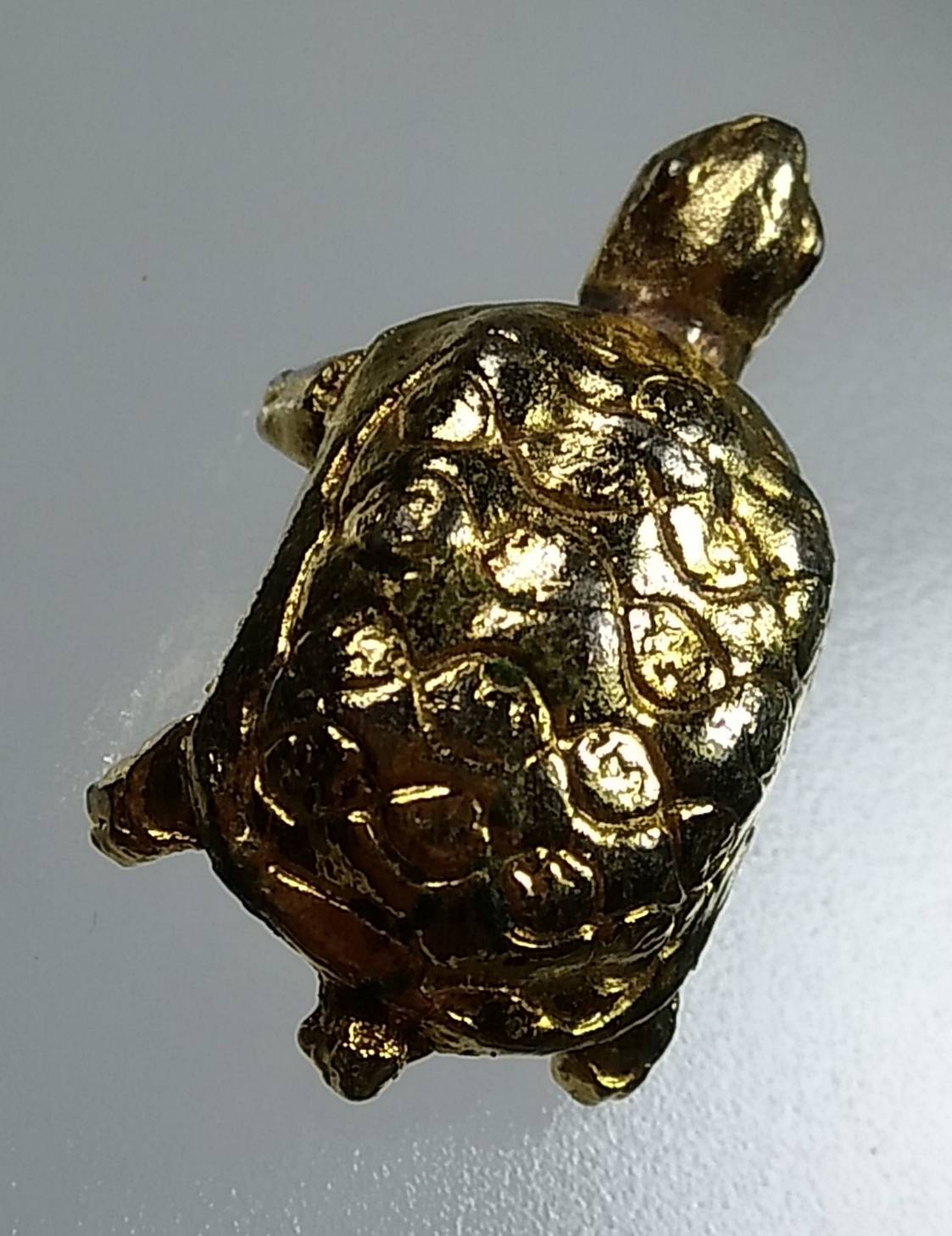 L073 เต่าหลวงพ่อทรัพย์ วัดอินทาราม (ตลุก) จ.ชัยนาท