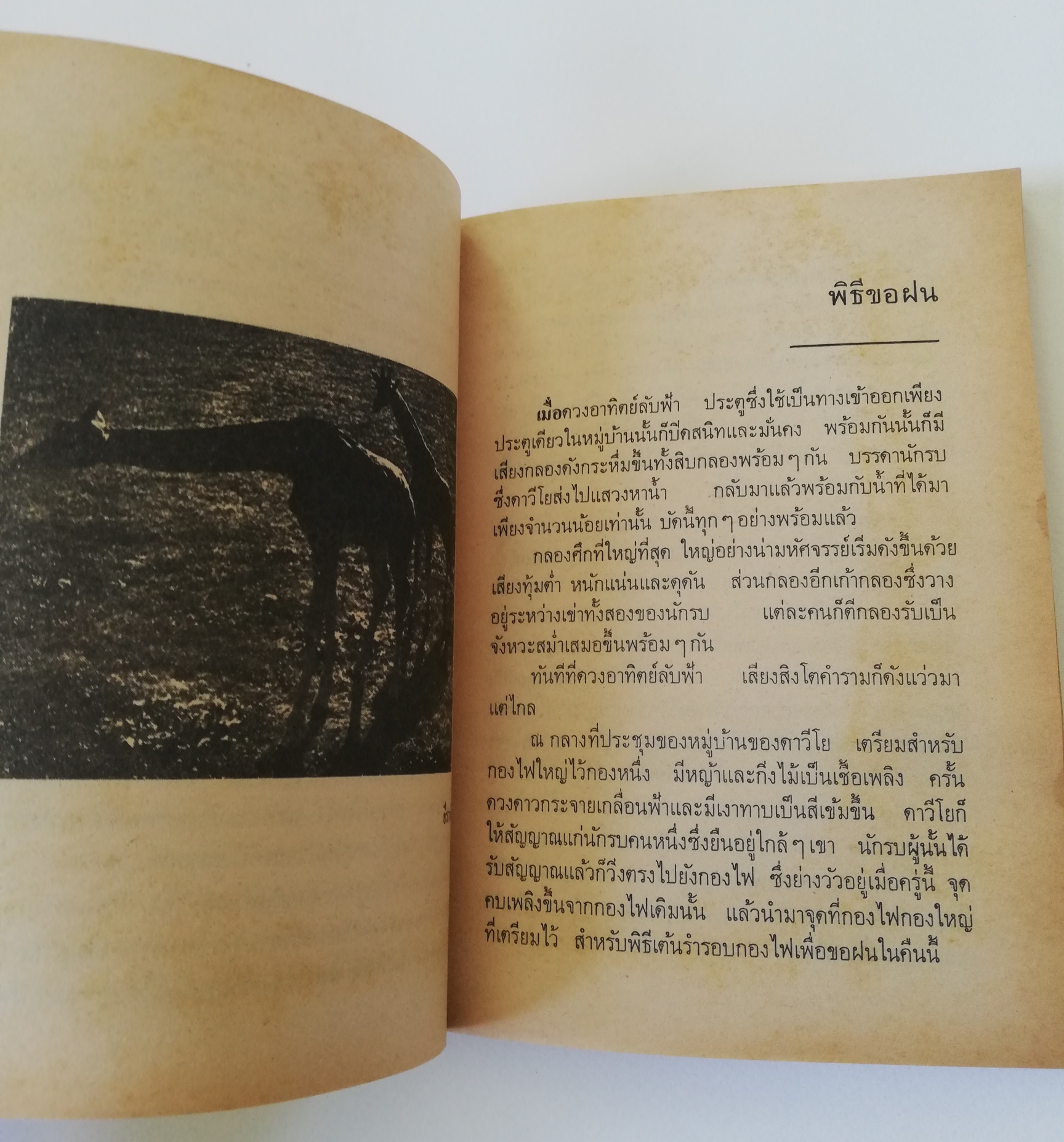 หนังสืออ่านนอกเวลาเก่า กระดาษออกสีเหลือง"ตามล่า" ชีวิตการผจญภัยของสิงห์หนุ่ม หนังสืออ่านสำหรับเยาวชน ชุดไพรกว้าง ปีที่พิมพ์ 2533