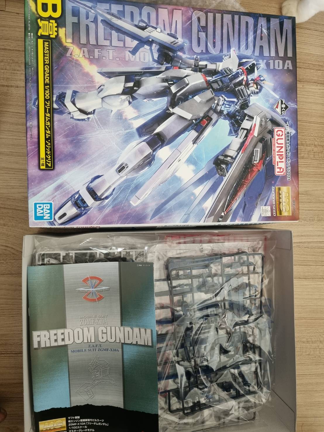MG 1/100 ZGMF-X10A Freedom Gundam Solid Clear