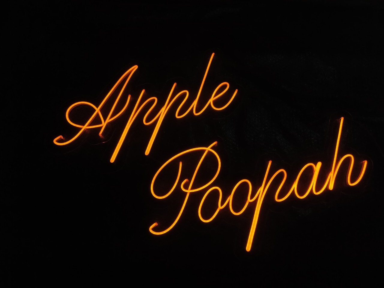 ไฟนีออน เฟค