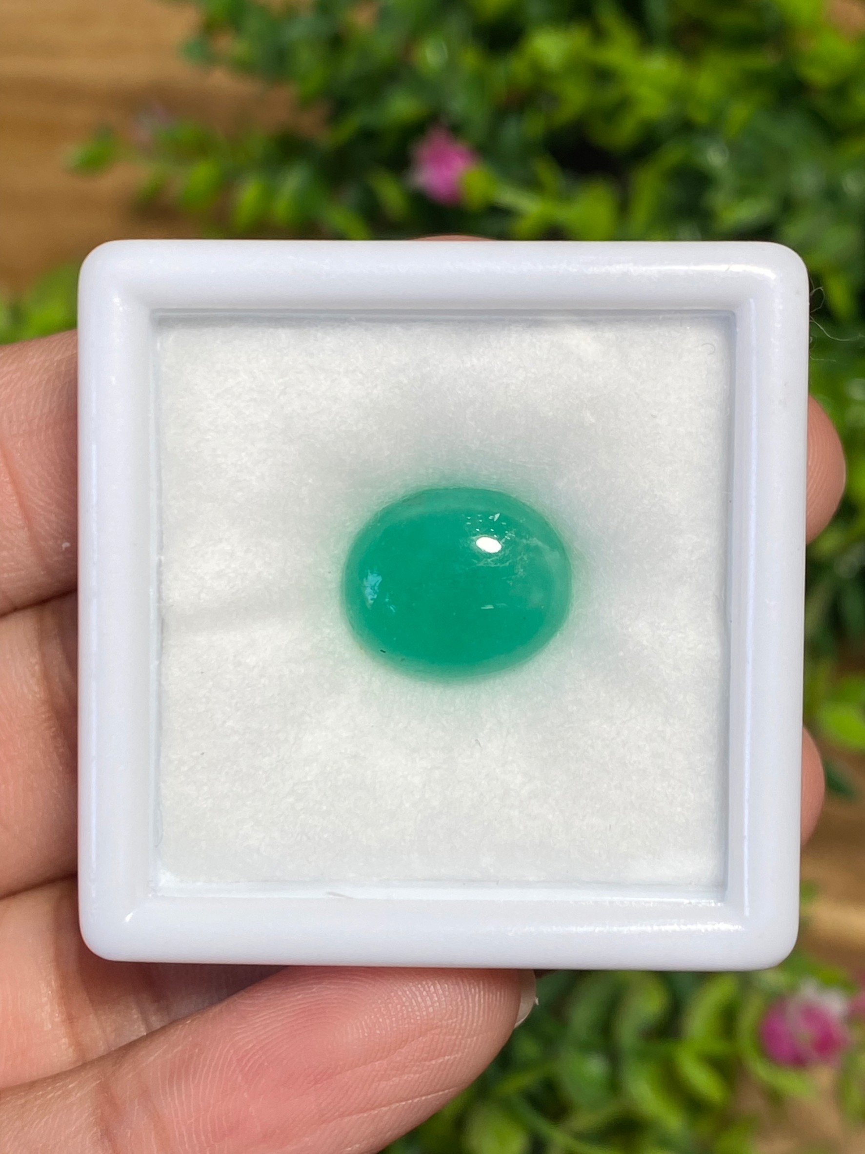 พลอย มรกต โคลัมเบีย Colombian Emerald 5.99 กะรัต (Cts.) พร้อมใบเซอร์ พลอยแท้ อัญมณีมงคลประจําวันเกิด เครื่องประดับพลอย