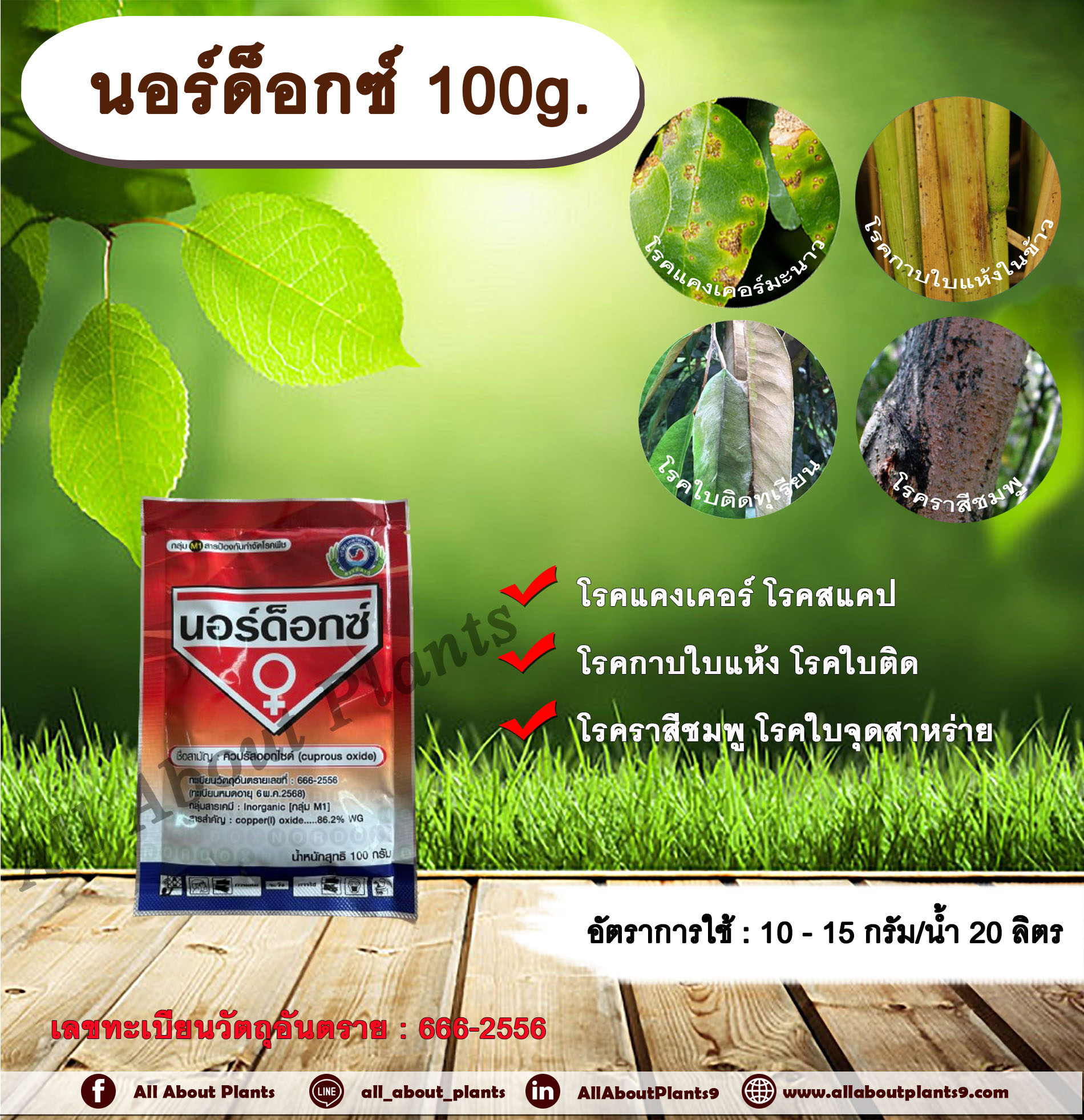 นอร์ด็อกซ์ 100g. คิวปรัสออกไซด์ ป้องกันโรค กำจัดโรค เชื้อราและแบคทีเรีย โรคแคงเคอร์ โรคสแคป โรคกาบใบแห้ง โรคใบติด โรคราสีชมพู โรคใบจุดสาหร่าย allaboutplants ชิ้น