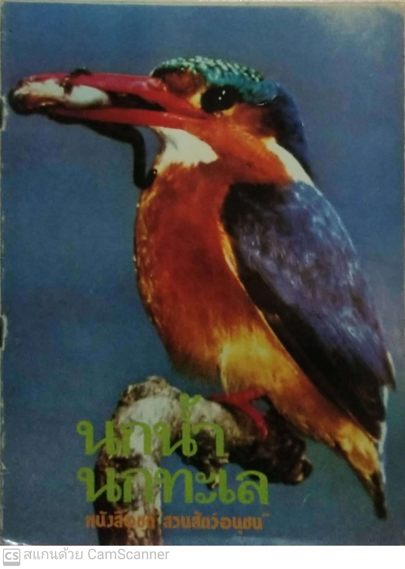 หนังสือเก่าเก็บ ชุดสวนสัตว์อนุชน ,นกน้ำนกทะเล หนังสือเก่า ปีที่พิมพ์ 2527 ราคาปก 60 บาท