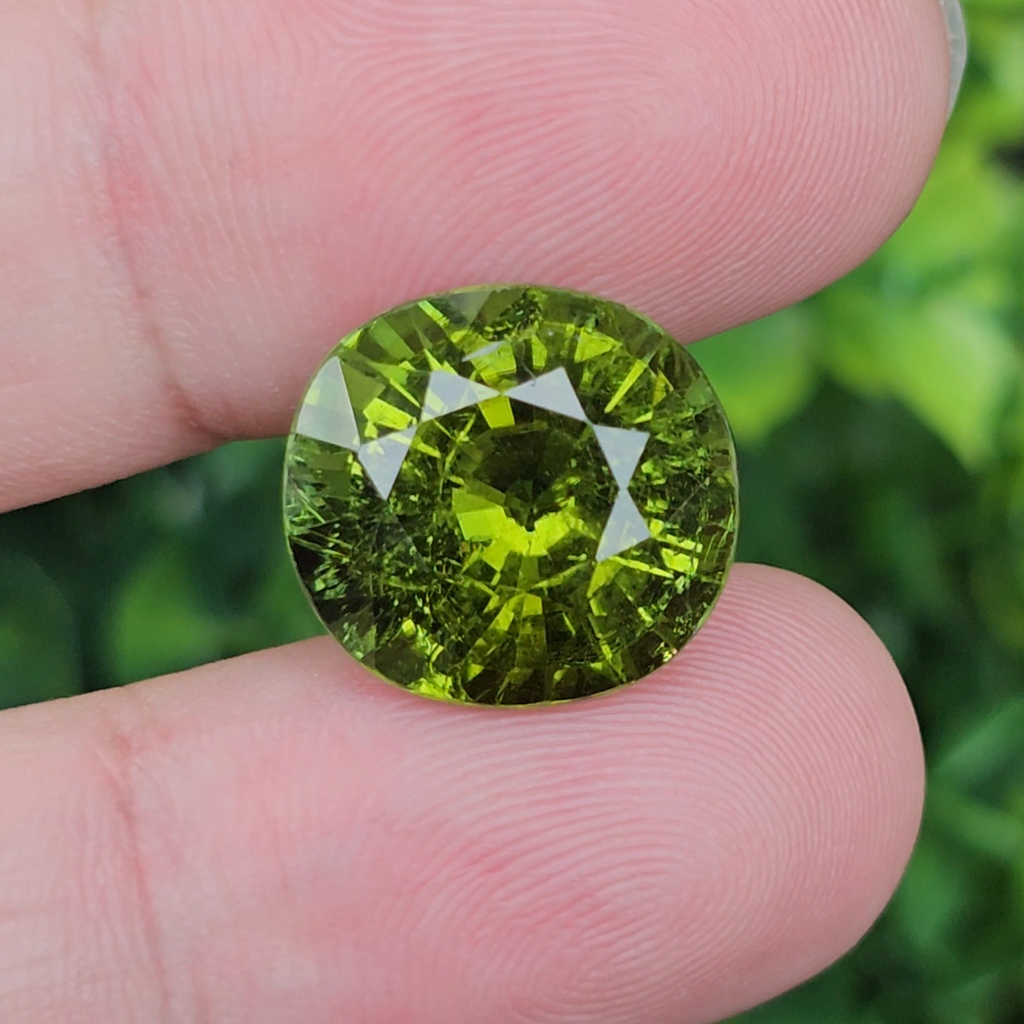 พลอย ทัวร์มาลีน Tourmaline 13.77 กะรัต (Cts.) พลอยแท้อัญมณีมงคล ประจําวันเกิด เครื่องประดับพลอย