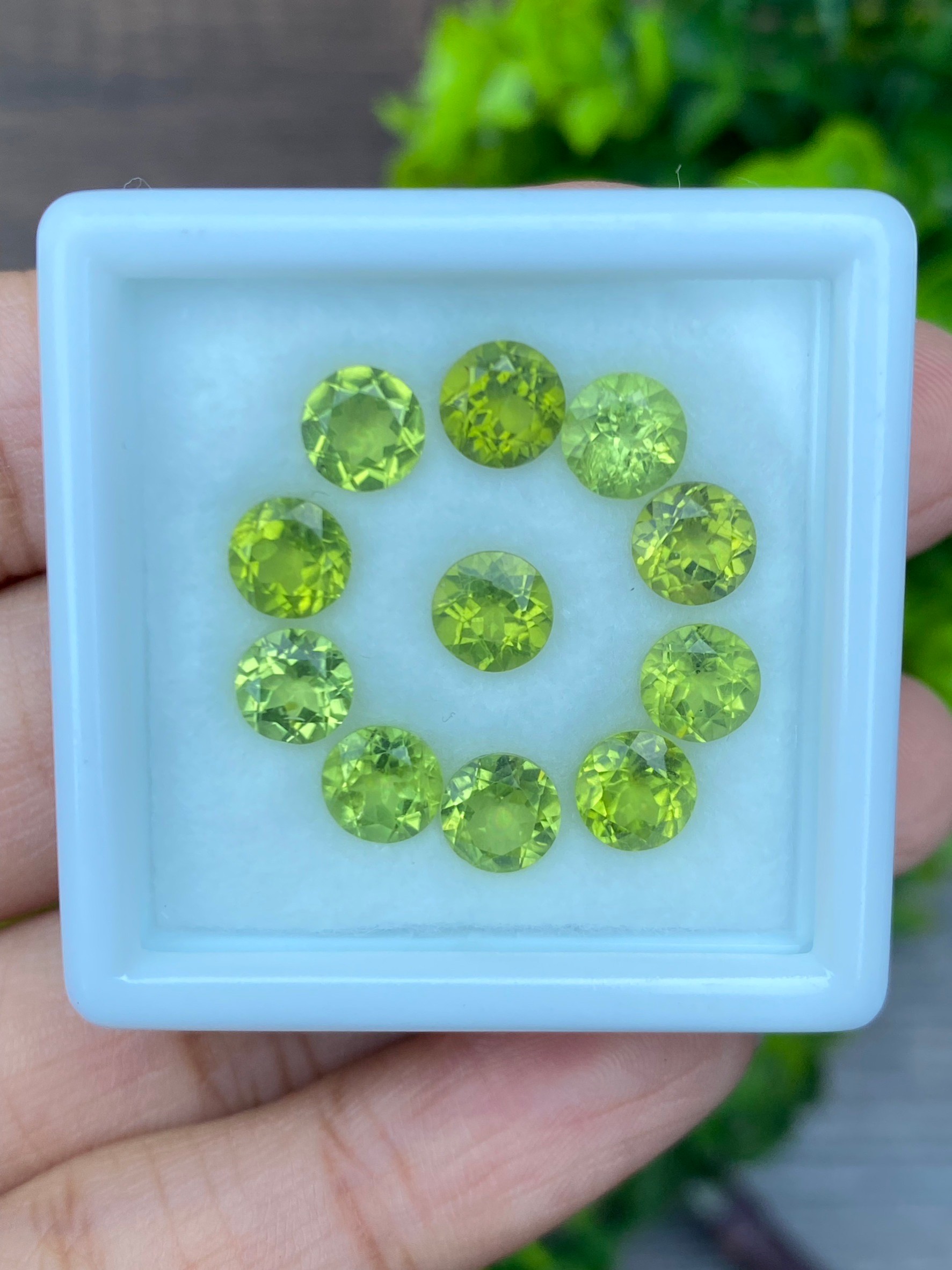 พลอย เพอริดอต Peridot 10.33 กะรัต (Cts.) 11 เม็ด (pcs.) พลอยแท้ อัญมณีมงคลประจําวันเกิด เครื่องประดับพลอย