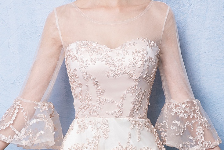 Pre-order ชุดราตรียาวแขนยาวปักดิ้นเป็นลาย ซีทรูช่วงไหล่และแขน ซิปหลัง สวยหรู