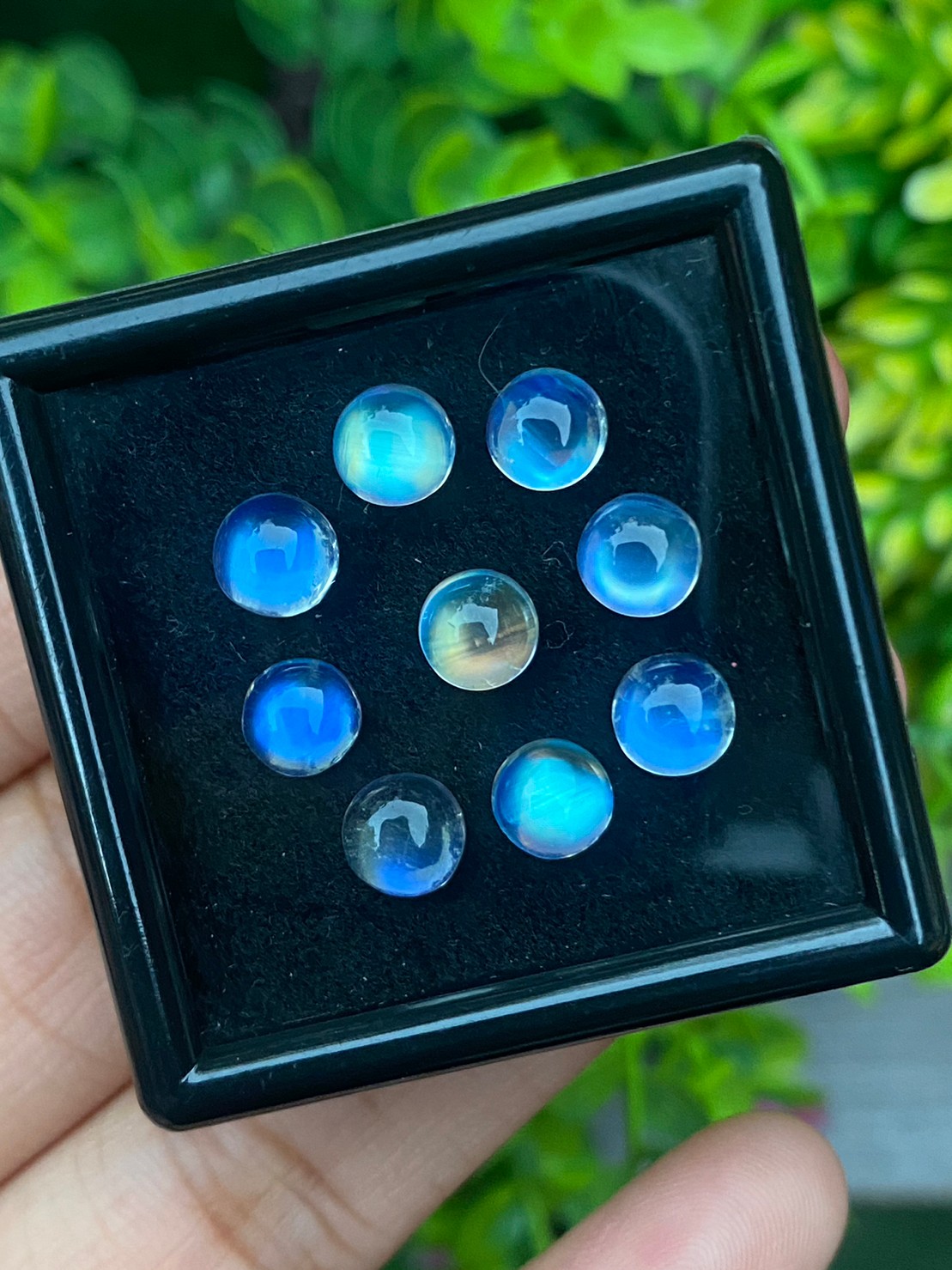 พลอย มุกดาหาร เรนโบว์ มูนสโตน Rainbow Moonstone 11.59 กะรัต 10 เม็ด พลอยแท้ อัญมณีมงคลประจําวันเกิด เครื่องประดับพลอย