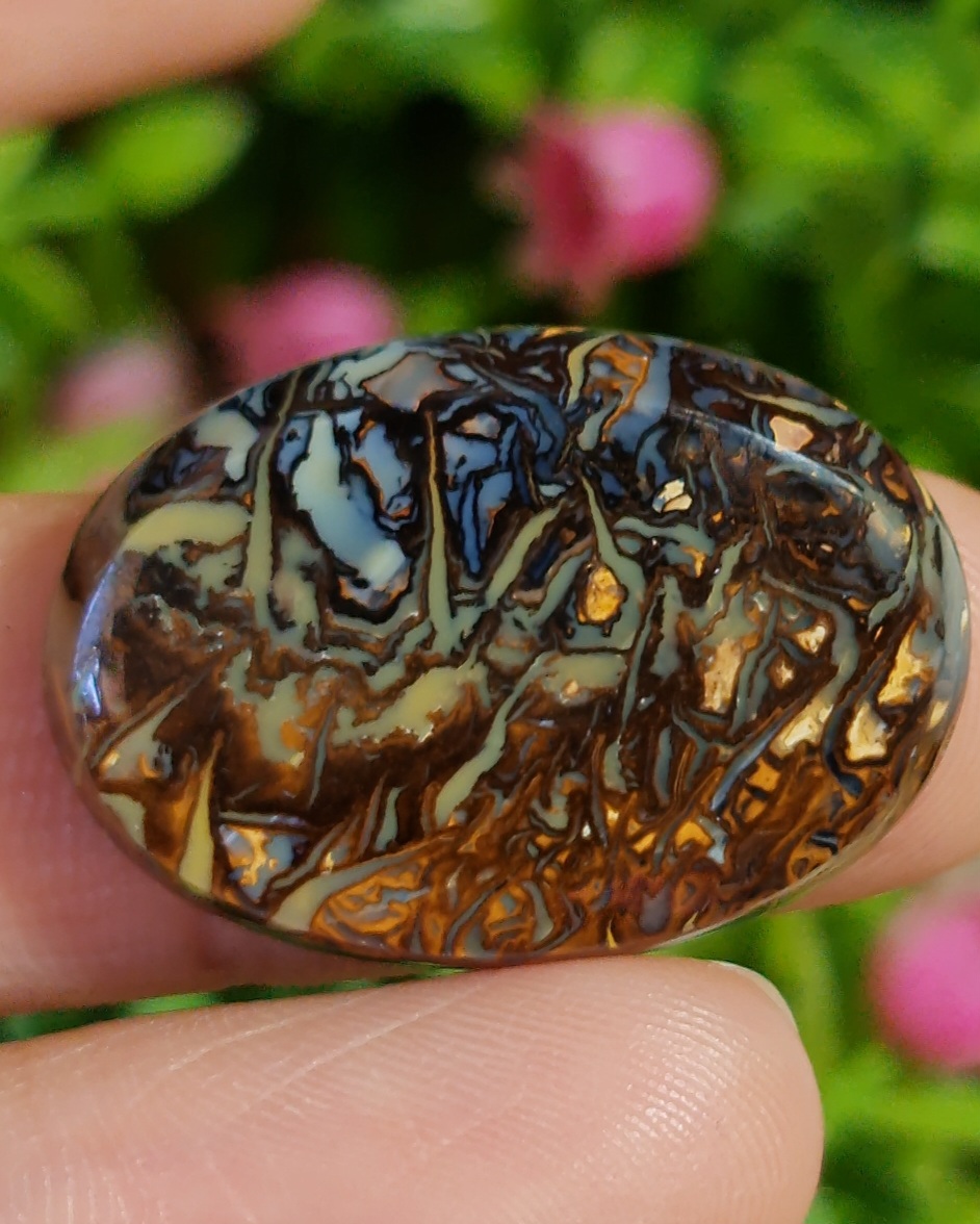 พลอย โบลเดอร์ โอปอล ออสเตรเลีย Australian Boulder Opal 26.9 กะรัต (Cts.) พลอยแท้ อัญมณีมงคลประจําวันเกิด เครื่องประดับพลอย