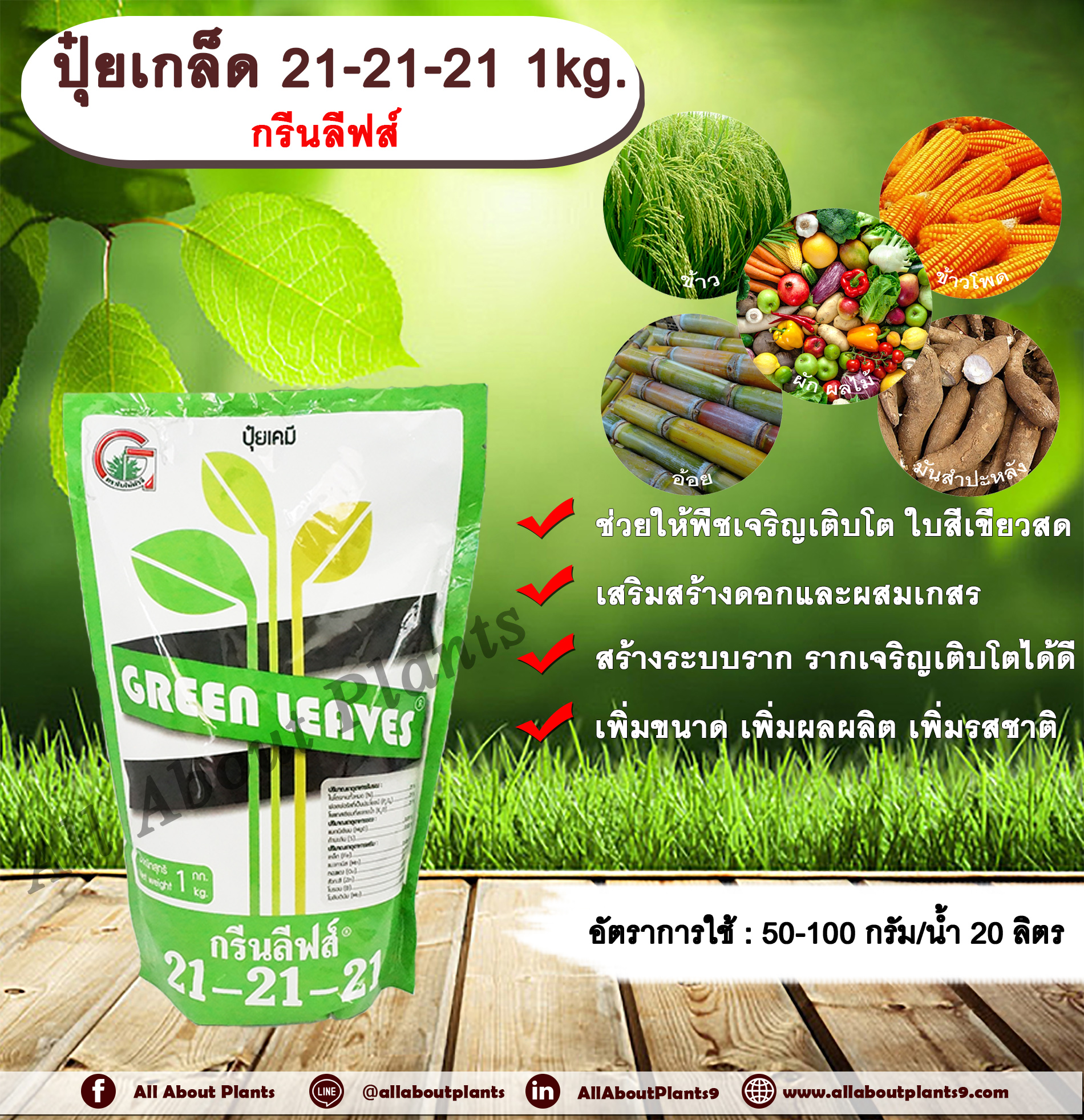 ปุ๋ยเกล็ดกรีนลีฟส์ สูตร 21-21-21 1kg. ปุ๋ยเกล็ดฉีดพ่นทางใบ เร่งต้น ใบ ดอกและผล พร้อมสำหรับออกดอก ปุ๋ยผง NPK allaboutplants ชิ้น